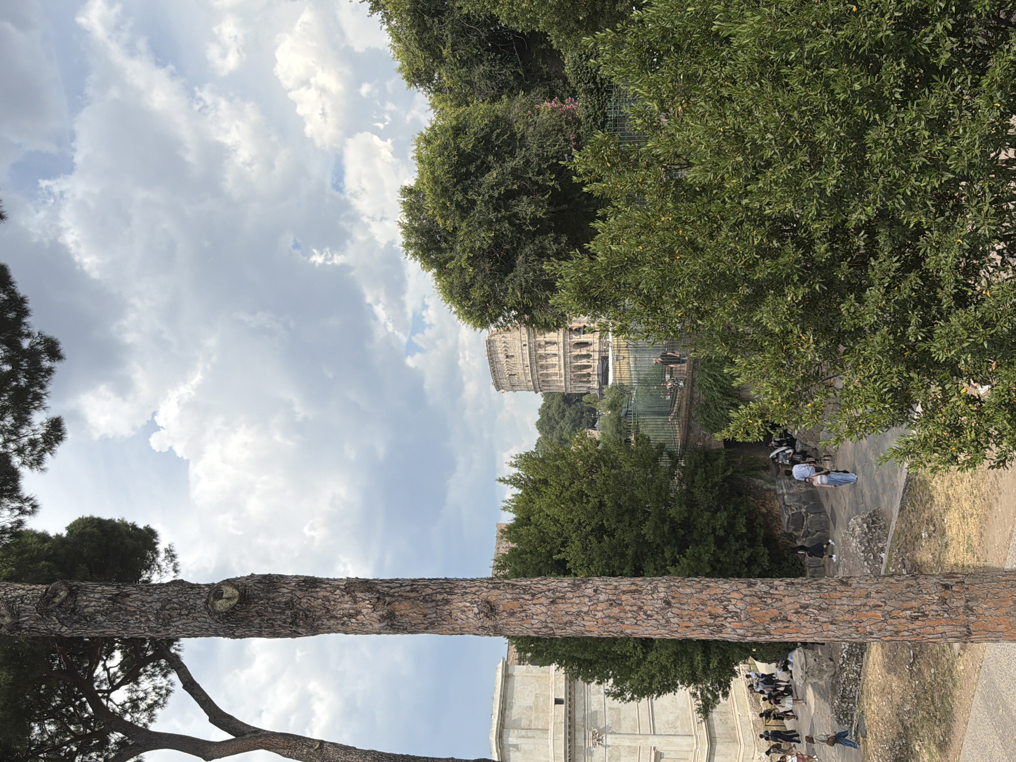 A medium shot captures a sideways view of the Colosseum in Rome, Italy, framed by lush green trees and a large pine tree trunk in the foreground. The sky is a mix of white, fluffy clouds and patches of blue, suggesting fair weather. People are visible walking along a path in front of the Colosseum and in the distance, some appearing to be tourists. A scooter is parked near a group of people. The lighting and soft shadows indicate it is daytime, likely mid-morning or afternoon. The scene evokes a sense of historical tourism and exploration. No visible text is present in the image.