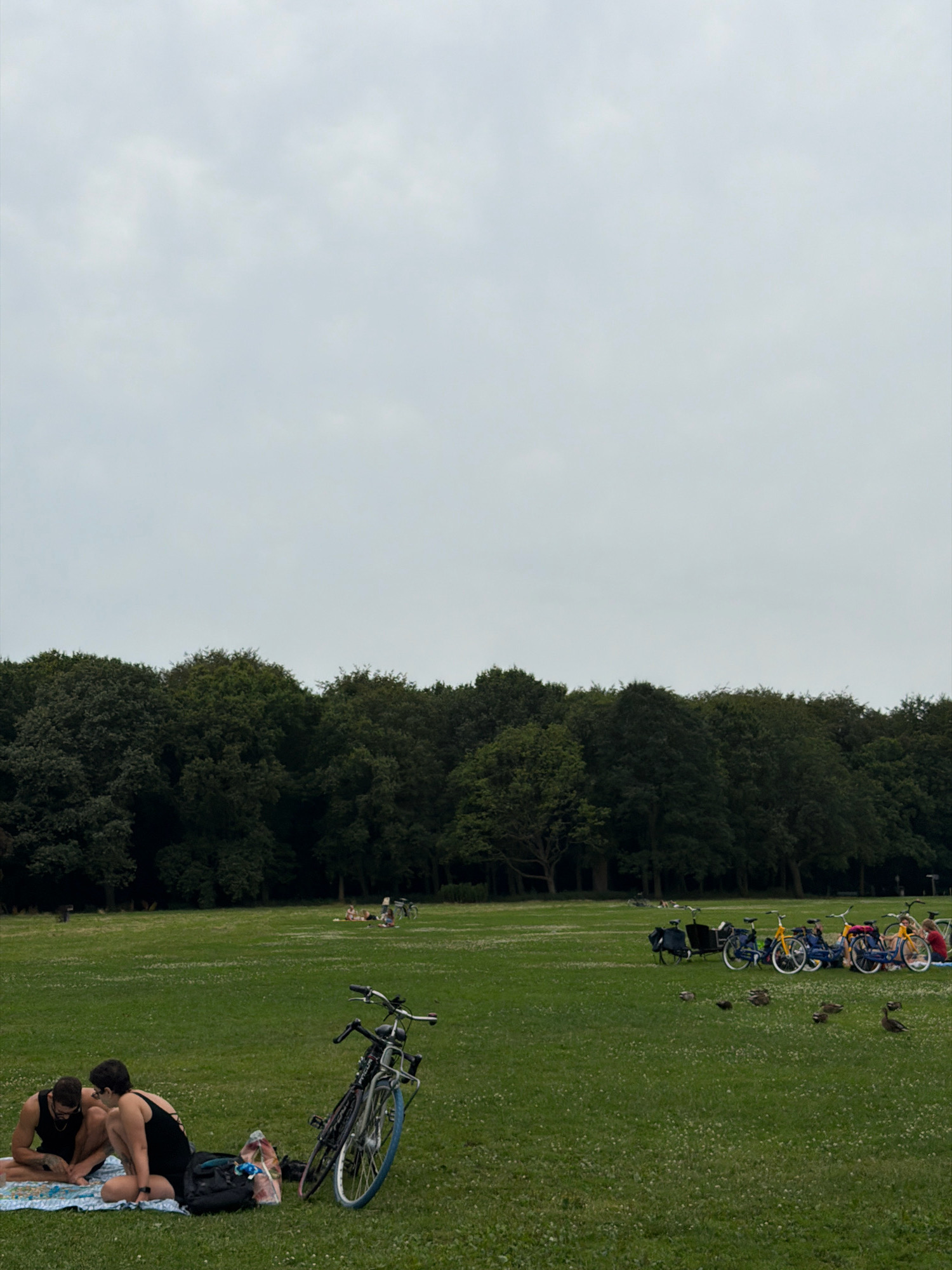 The image depicts a park scene under an overcast sky. In the foreground, two individuals are seated on a blanket on the grass. One person, with visible tattoos on their arm, is wearing a black tank top, and the other person is wearing a black dress with an open back. Next to them are two bicycles, one primarily black and the other with a blue front tire. Several bags are also present on the ground.

In the middle ground, a line of bicycles is parked, with people seated or lying on blankets in the background. Further back, a dense line of trees forms the edge of the park. In the foreground grass, several ducks are visible, foraging.

The scene appears to be a public park, likely in the city of Aalsmeer, Netherlands, given the context. The overall atmosphere is one of relaxation and outdoor activity.