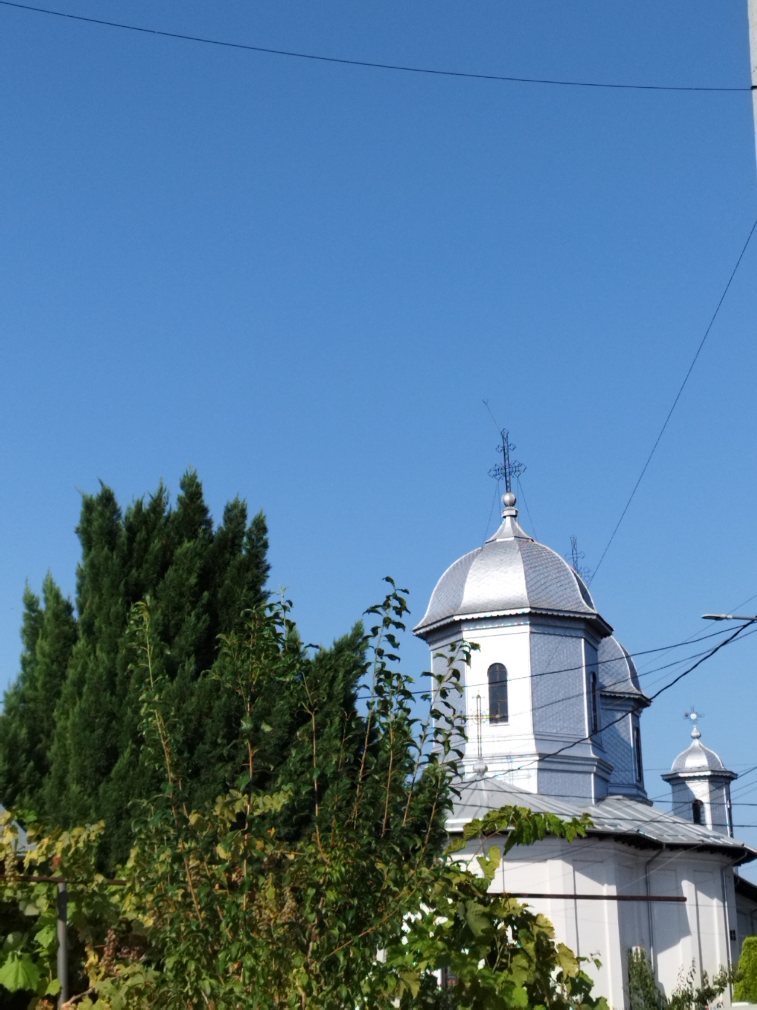 This image depicts the exterior of a Romanian Orthodox church, likely located in Băleni-Români, Romania, under a clear blue sky. The church features a prominent silver-domed tower topped with a cross, and a smaller, similar dome to its right. The walls of the church are white, with blue siding visible on the upper sections. Adjacent to the church, on the left, is a dense cluster of tall, dark green coniferous trees. In the foreground, a variety of green foliage, including leafy branches and vines with small clusters of berries, partially obscures the lower portion of the church. Several dark electrical wires are visible against the sky, traversing the upper part of the frame. There are no people or animals visible in the scene.