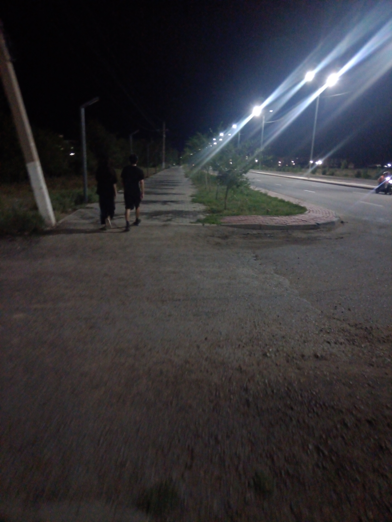 Two individuals, one appearing taller than the other and wearing dark clothing, walk away from the camera on a paved pathway at night. The pathway is adjacent to a road with streetlights casting bright beams across the scene. A lone tree with sparse foliage is visible to the right of the pathway, bordering a grassy area that curves towards the road. In the distance, along the road, a motorcycle with illuminated headlights is present. The environment suggests an urban or suburban setting in Balqaş, Kazakhstan, characterized by artificial lighting and infrastructure.