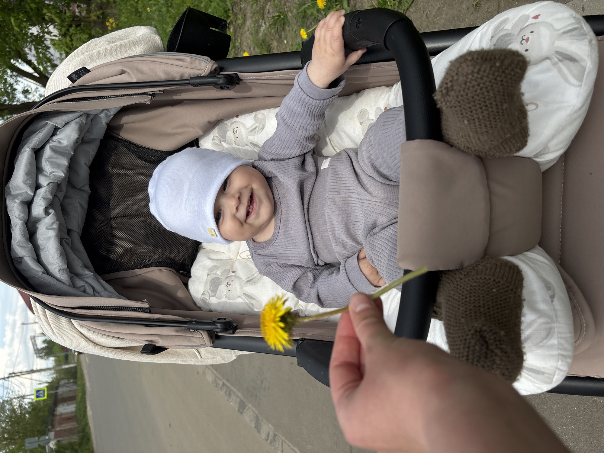 A baby wearing a light purple outfit and a white hat is lying in a beige baby stroller. The baby is smiling and reaching for a dandelion being held by a person whose hand is visible in the foreground. The background shows an urban environment, possibly Посёлок комбината стройматериалов-1, Russia, with a street and some greenery visible. The stroller has a beige lining and a black handle. There is a white pillow with bunny patterns behind the baby.