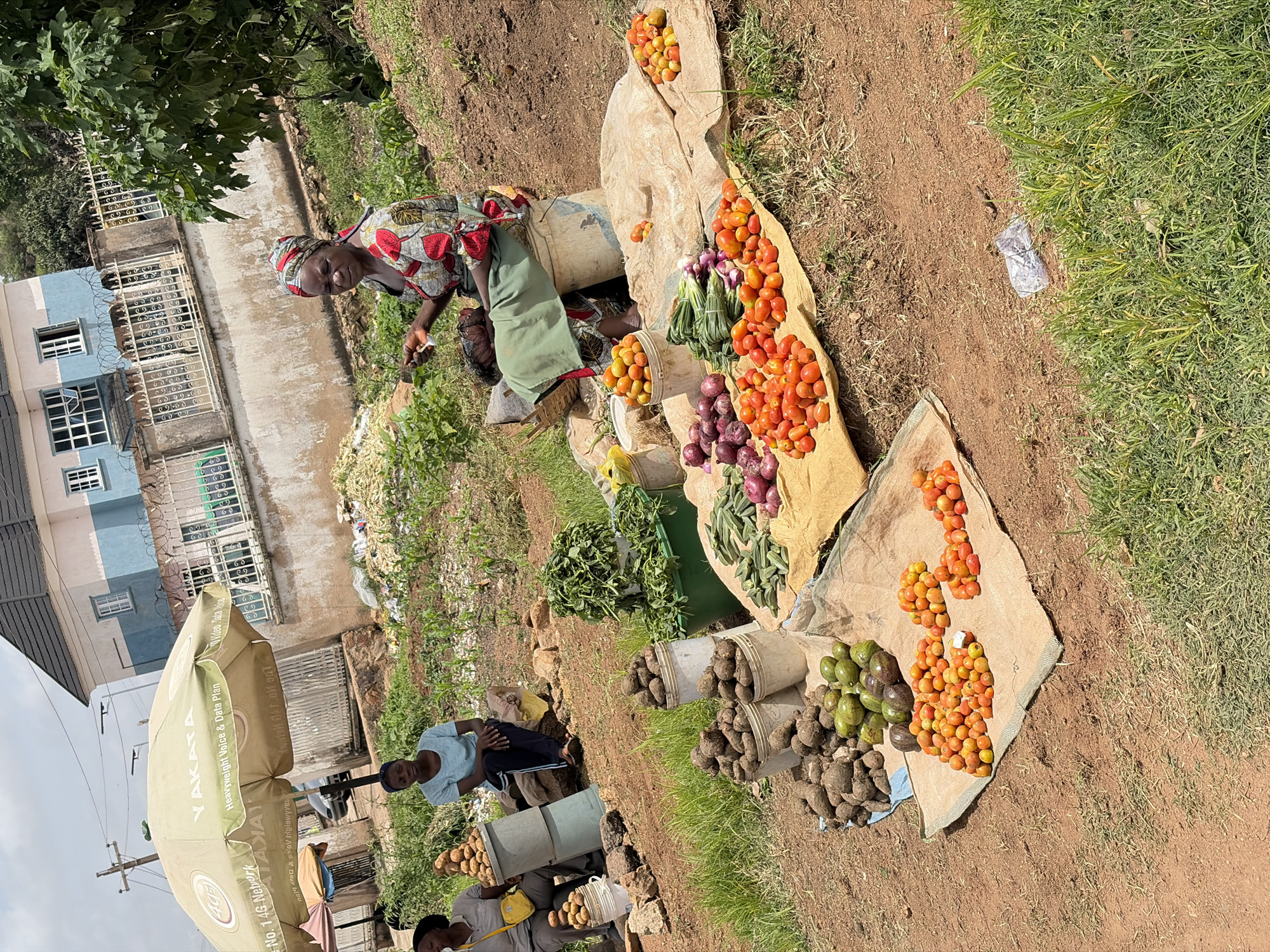 In Gura Top, Nigeria, an outdoor market scene unfolds under a bright sky. A woman wearing a colorful headscarf and a patterned dress sits on a white bucket, engaged in selling produce. In front of her, a variety of vegetables are arranged on a burlap cloth: piles of red tomatoes, bunches of green onions, and a cluster of purple onions. To the left, more vegetables are displayed, including avocados and a large quantity of root vegetables in buckets. Two other women are seated to the left of the frame, one with a yellow bag over her shoulder, also near piles of produce. In the background, a building with blue and white accents is visible, along with a fence and some trees. The ground is a mix of red soil and dry grass, with some green vegetation growing. An umbrella with the "YAKATA" logo is open to the left, providing shade. The scene suggests a typical day at a local market, with vendors selling fresh produce.