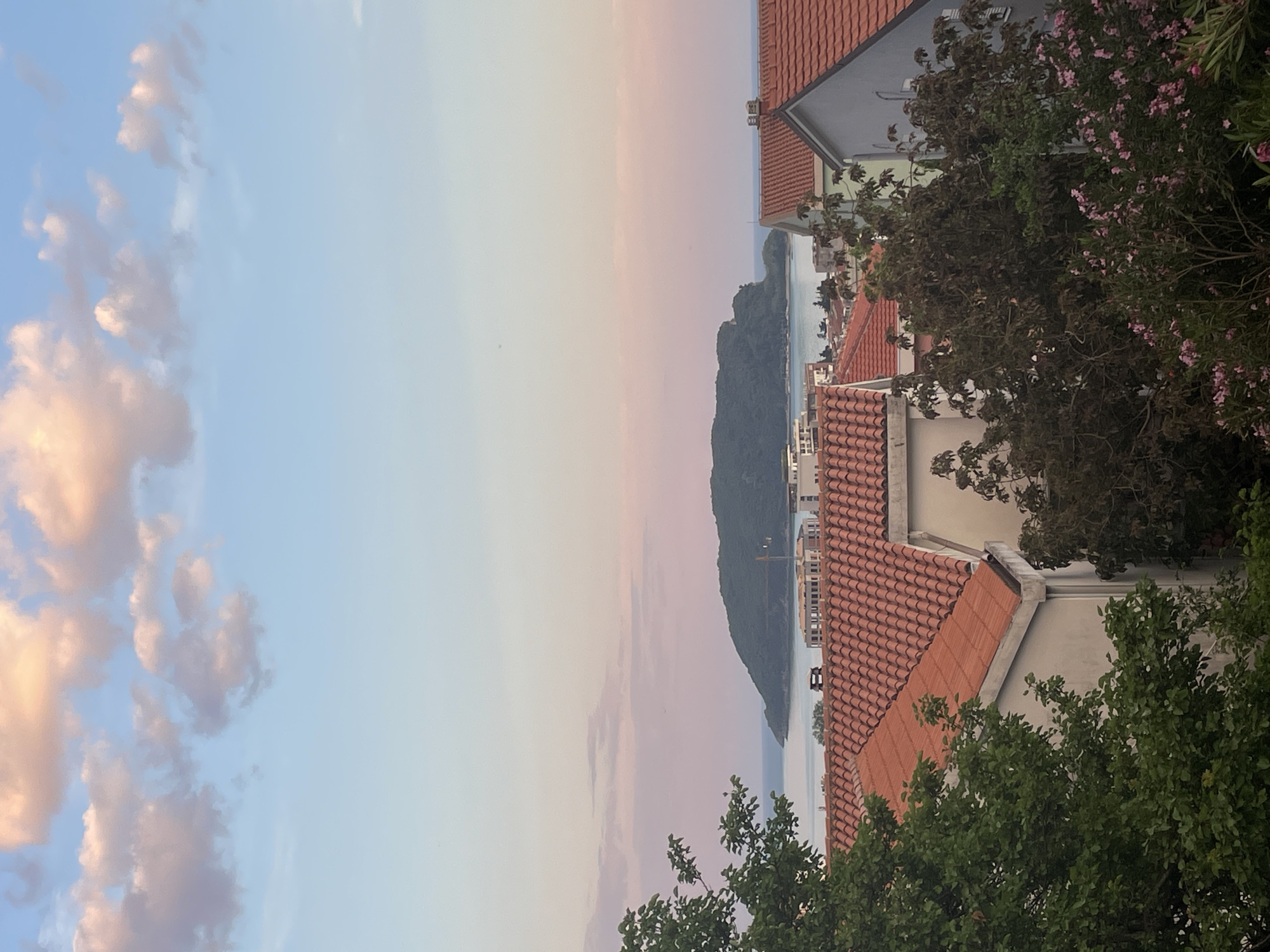 The image shows an aerial view in the city of Budva, Montenegro. The foreground features the orange tile roofs of buildings partially obscured by lush green trees and flowering plants. Beyond the buildings is a wide expanse of water, likely the Adriatic Sea, leading to a distant island. The sky transitions from a blue hue near the left to a gradient of pinks and purples as it approaches the horizon. A construction crane is visible on the island. The lighting suggests either sunrise or sunset. No people are visible in the scene.