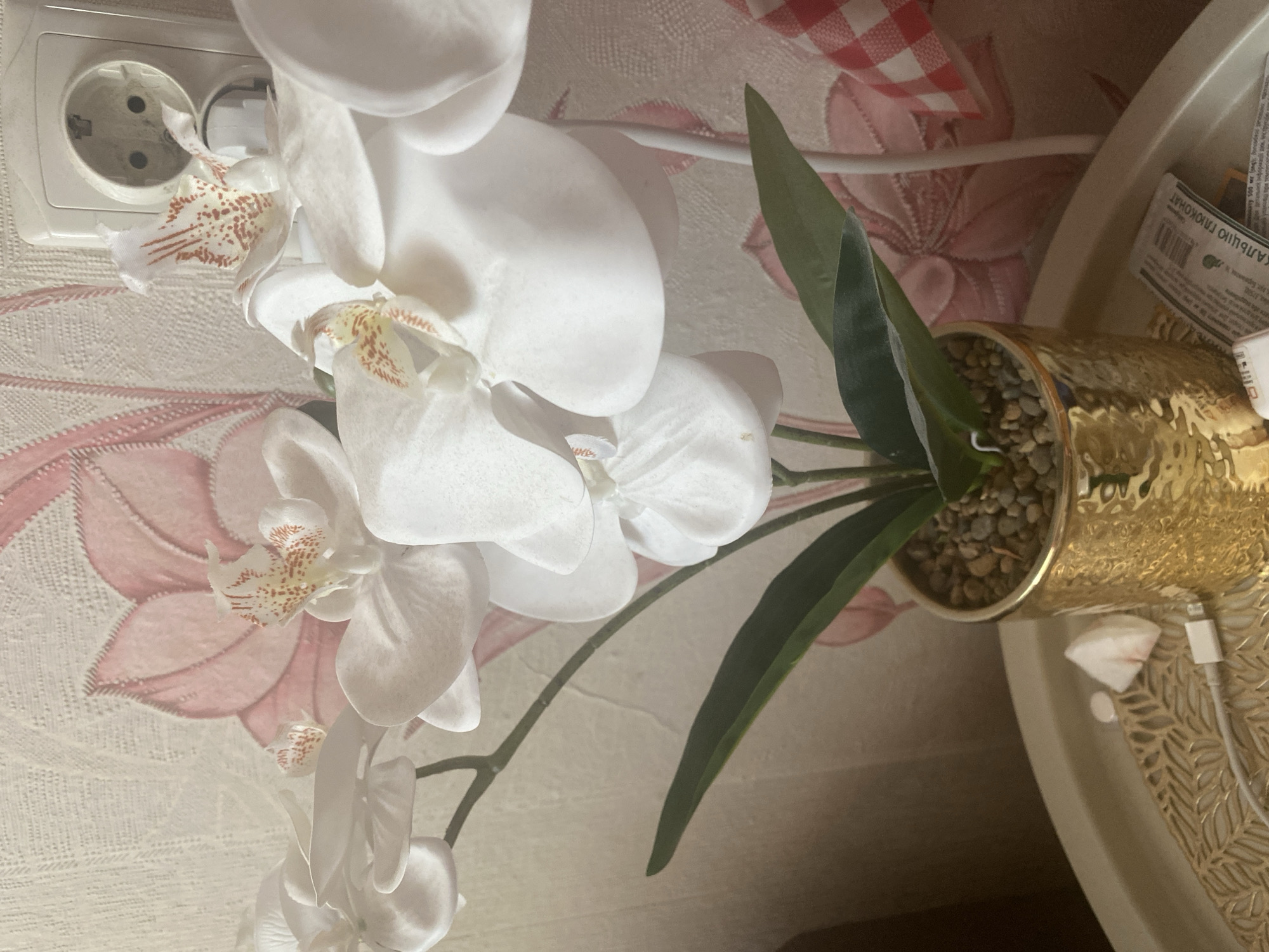 A close-up, eye-level shot captures a faux white orchid plant in a gold pot, placed on a textured tray. The orchid features large, white petals with delicate red speckles on some of them. The pot is filled with small, grey pebbles. Behind the plant, a wall with a pink floral wallpaper is visible. To the right of the orchid, a white electrical outlet is mounted on the wall. A portion of a red and white checkered fabric is also visible on the right side of the frame. On the tray in front of the pot, there are a few small white objects and a white USB cable. The overall lighting suggests an indoor environment, likely a room within a residential or commercial building in Zhytomyr, Ukraine.