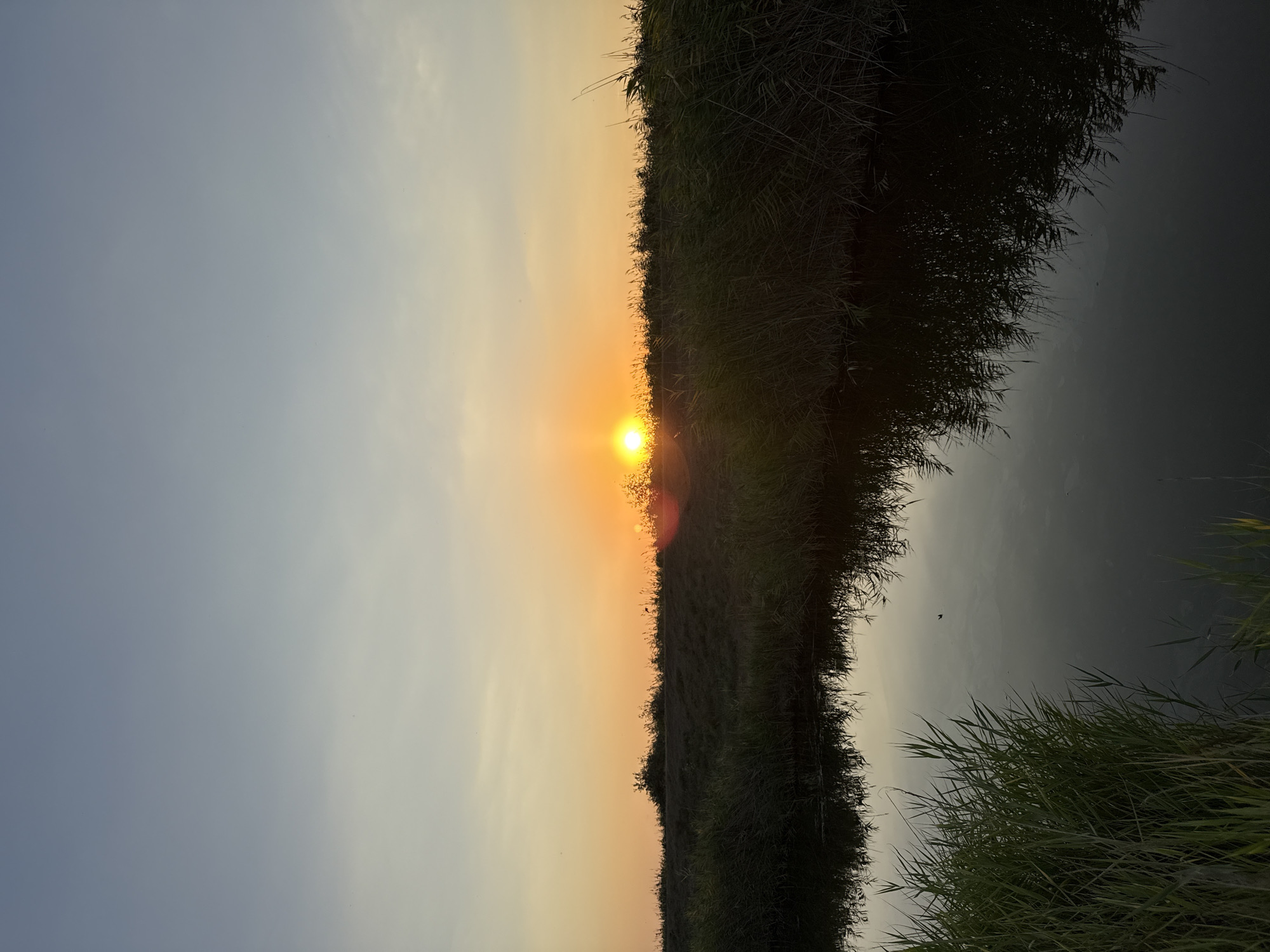 The image depicts a tranquil natural scene at sunset. The sky is a gradient of soft blues and oranges, with the sun, a bright orange orb, partially obscured by the horizon line. This horizon is formed by a low ridge covered in dark green reeds and vegetation, which appears to be a bank or embankment. In the foreground, a body of still water reflects the sky and the reeds, creating a mirror image of the scene above. The water itself is dark, suggesting depth or shadow. The reeds on the left side of the image are a vibrant green, contrasting with the darker reeds on the embankment. The overall impression is one of peacefulness and the beauty of a natural landscape during twilight. The location is identified as Некрасовское сельское поселение, Ukraine.
