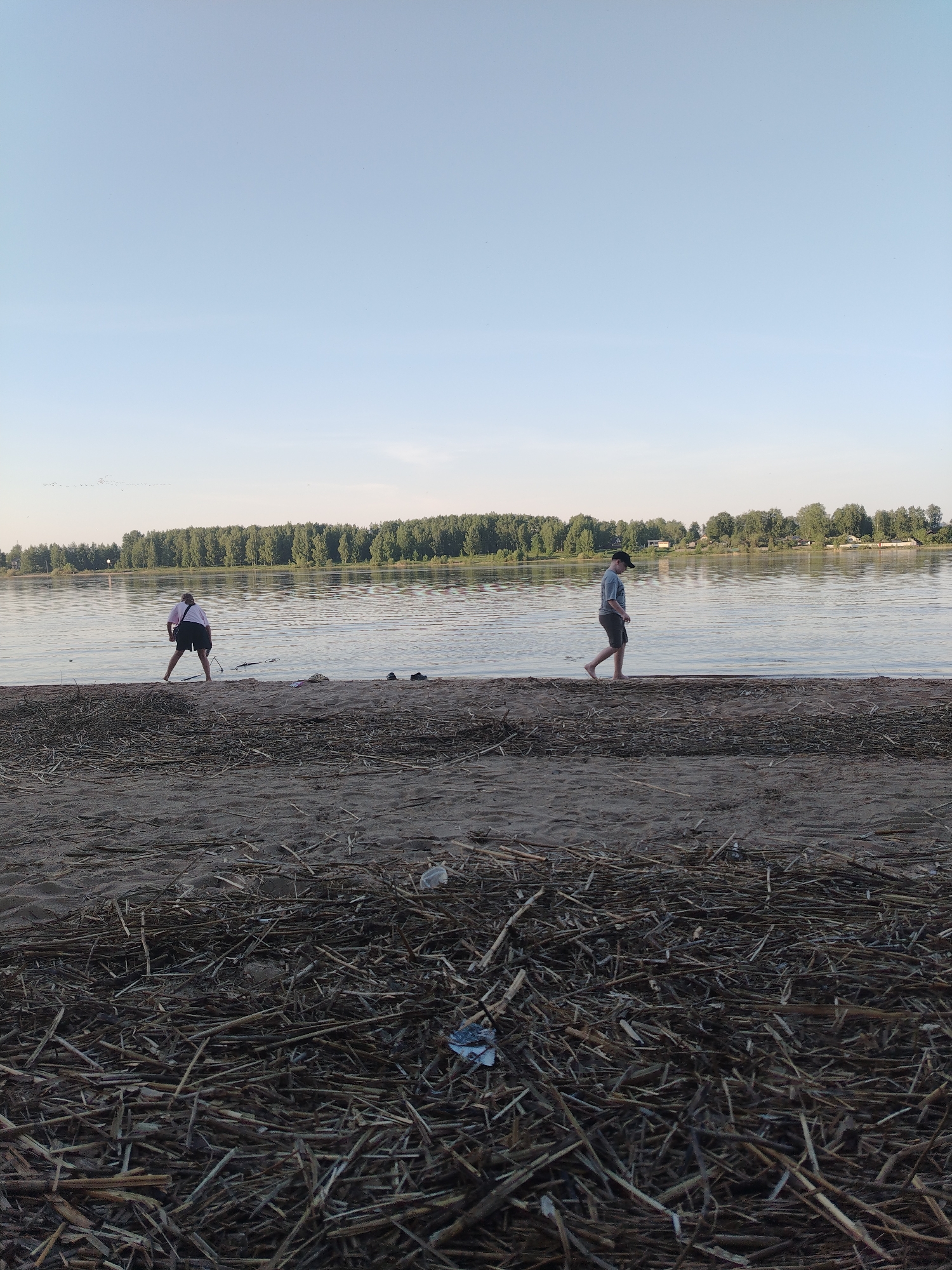 The image shows a beach scene in Rusanovo, Russia. In the foreground, there's a layer of dried twigs and debris scattered over the sand. Further back, a sandy beach stretches along the waterline of a body of water, likely a river or lake. Two people are present on the beach. On the left side, a person is bent over near the water's edge, possibly examining or picking up something. On the right, another person walks along the shore. A line of trees is visible across the water on the opposite bank. The sky is clear and light blue.