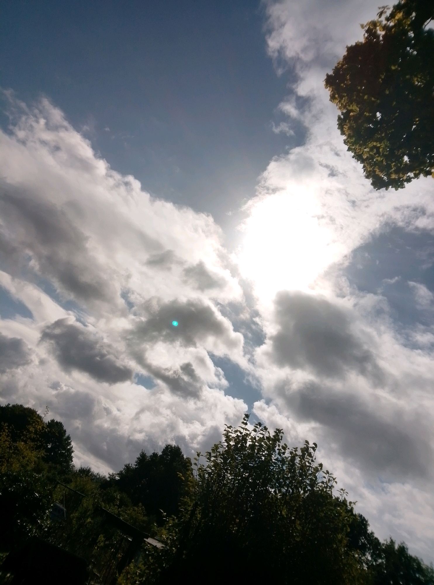 The image shows a low-angle view of a cloudy sky with the sun shining brightly through the clouds. There are trees in the foreground and background, some of which are silhouetted against the sky. The scene appears to be outdoors, possibly in a rural or suburban area. The lighting suggests it is daytime, with the sun positioned high in the sky. There are no people or animals visible in the image. The composition is dominated by the sky and the natural elements of trees and clouds.