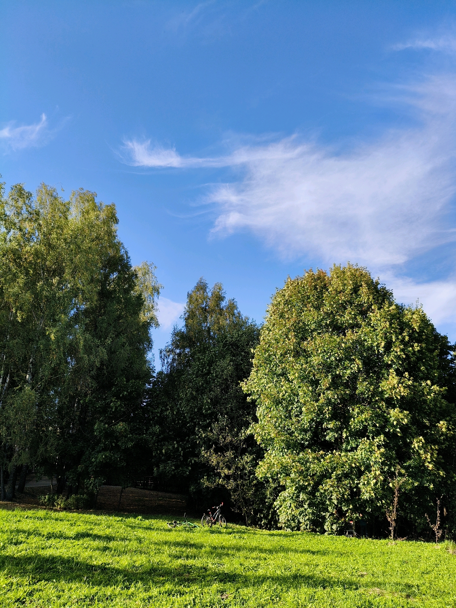 This image depicts a serene park scene bathed in the warm light of a sunny day, featuring a vibrant green grassy field in the foreground, casting long shadows. A cluster of lush trees forms a verdant backdrop, with a prominent large tree on the right side of the frame. In the middle ground, two bicycles are visible, one upright and the other lying on its side on the grass, suggesting a moment of rest or a recent activity. The sky above is a brilliant blue, adorned with wispy white clouds that add a touch of ethereal beauty to the composition. The overall atmosphere is peaceful and inviting, hinting at a recreational spot within the city of Naro-Fominsk, Russia.