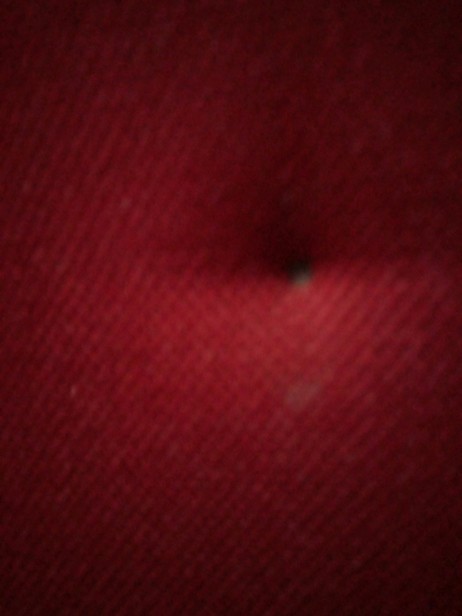 This image depicts a close-up, out-of-focus view of a textured red surface, possibly fabric. There is a small, dark, and slightly blurred spot in the center of the image. The overall impression is of a very shallow depth of field or a low-resolution image. No recognizable objects, people, or environmental details that would allow for location identification in Sumberwono, Indonesia, are present.
