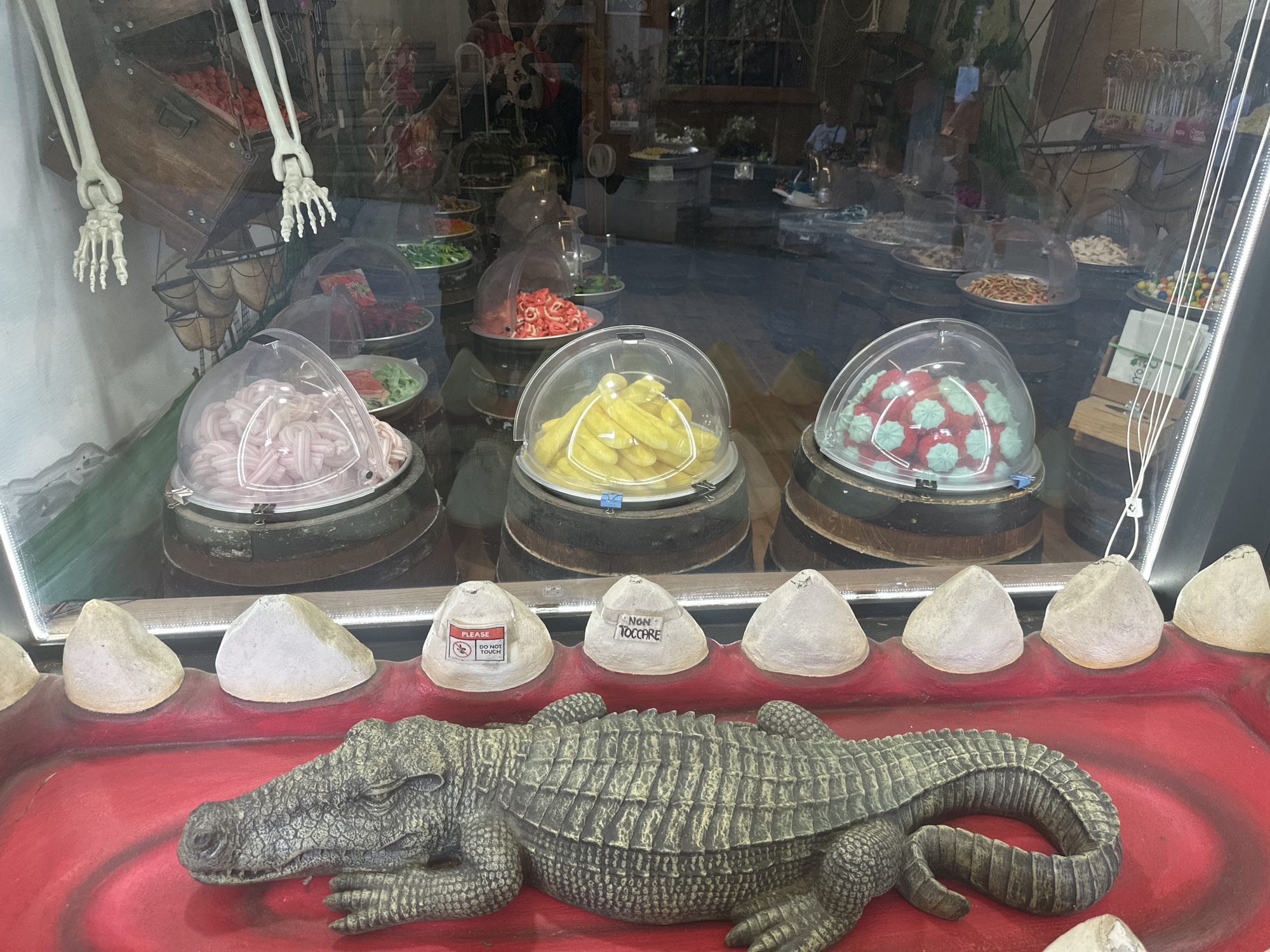 This image shows a display window, likely a candy store or novelty shop. In the foreground, a large, green alligator figurine is positioned on a red surface, mimicking a mouth. The alligator's snout is towards the left. Protruding from the red surface are several white, tooth-like structures. Some of these structures have small, circular labels on them. One label reads "PLEASE DO NOT TOUCH," and another, in Italian, reads "NON TOCCARE" which translates to "DO NOT TOUCH." Behind the alligator and teeth display, the window reveals rows of various candies in clear plastic containers, some covered with domes. These candies appear to be in different colors and shapes, including pink twisted candies, yellow gummy shapes, and small red and green candies. In the background, there are reflections of the interior of the shop, showing more shelves and display items, including what appears to be a wooden chest and skeleton arms. The overall impression is a theatrical and slightly macabre candy display. The location is specified as City of San Marino, San Marino, which suggests this is a shop in that independent microstate.
