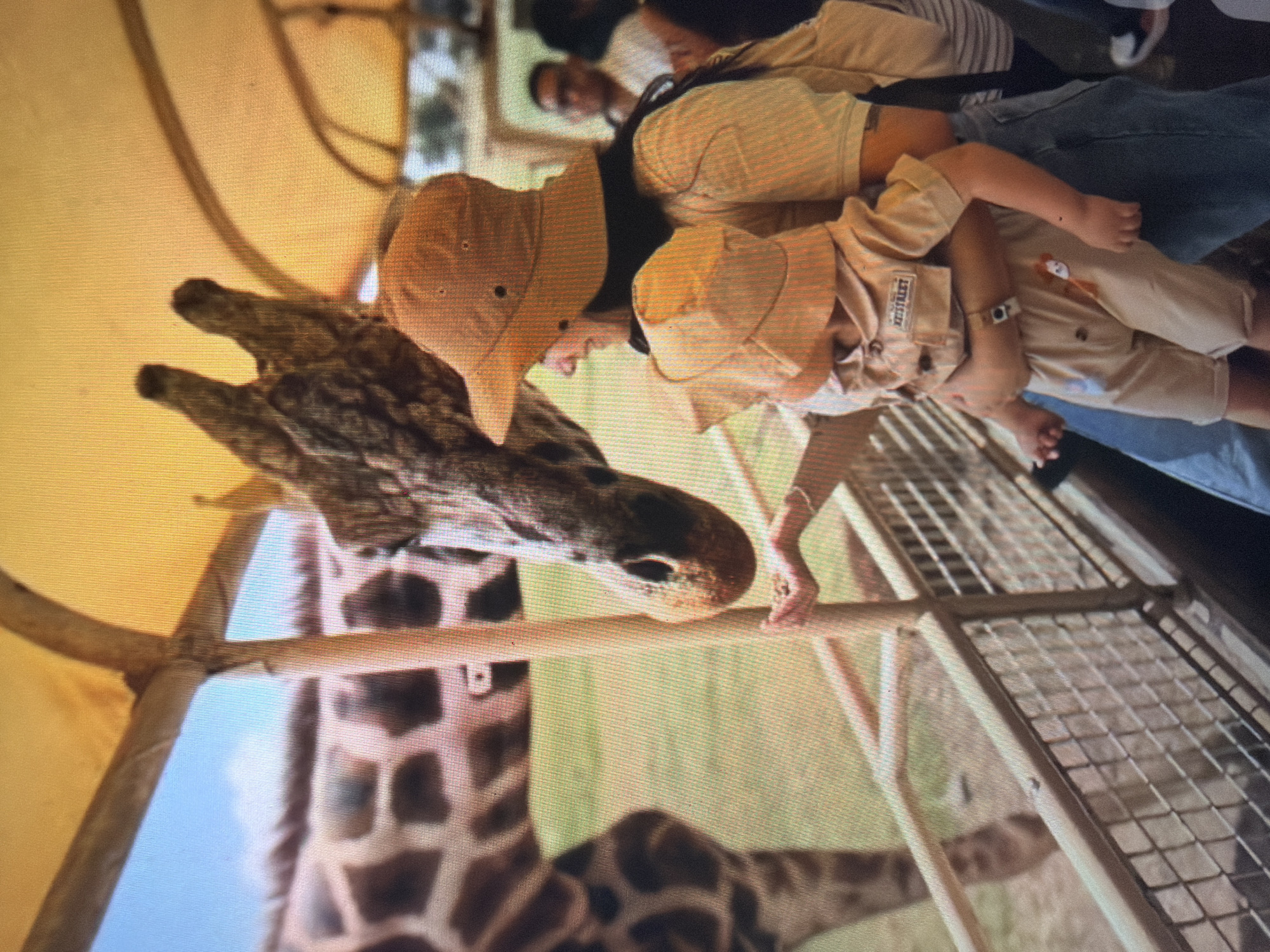 The image, captured in Shumen, Bulgaria, depicts an interaction between two individuals and a giraffe within what appears to be a safari park setting. In the foreground, positioned inside an open-sided vehicle or elevated platform, an adult female with dark hair, wearing a tan wide-brimmed hat, a light-colored short-sleeved top, and blue jeans, holds a young child. The child, dressed in a matching tan safari-style shirt, shorts, and hat, is cradled against the woman's left hip, facing towards the giraffe. The woman extends her right hand over a metal railing, offering a small quantity of feed to a giraffe. The giraffe's head and upper neck are prominently featured, with its mouth lowered towards the woman's hand. Its distinctive brown and tan patterned coat is visible. A multi-bar metal fence separates the viewing area from the grassy enclosure where the giraffe stands. The background shows a green grassy field and a clear blue sky with sparse clouds. Overhead, a yellow fabric canopy provides shade for the viewing area. In the blurred background, other individuals are partially visible inside the same structure.