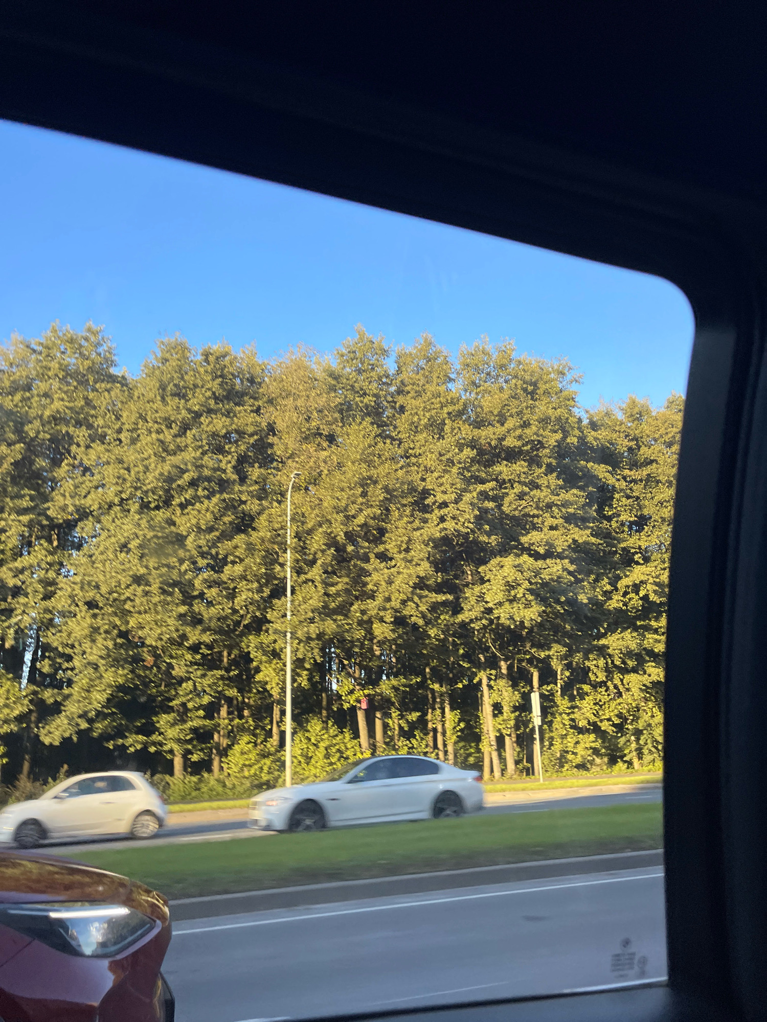 The image shows a view from inside a vehicle looking out at a road with trees and a blue sky. A white car is driving in the right lane on the road, and a smaller white car is driving in the left lane. There are tall trees lining the road, and a street lamp is visible among them. The overall scene suggests a suburban or highway setting. The location is identified as Tallinn, Estonia.