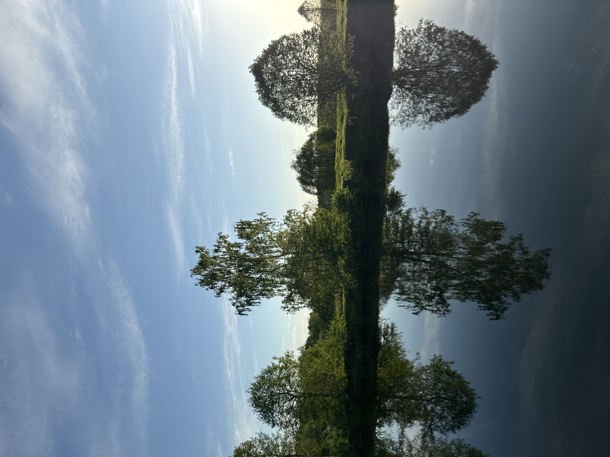 A landscape featuring a body of water reflecting a row of trees and a blue sky with faint clouds. The reflection is nearly a mirror image of the scene above. The location is likely near Egorii, Russia, based on the user's prompt.