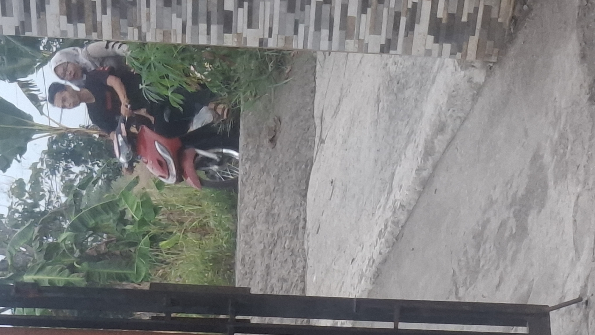 In Cibinong Hilir, Indonesia, a man and a woman ride a red scooter past a textured wall and lush vegetation. The man, wearing a black t-shirt, drives the scooter while the woman, in a light-colored headscarf and grey sweater, sits behind him. They are positioned on a paved surface, with a ramp-like structure leading up to a grassy area with banana trees and other plants. A dark metal gate frame is visible on the left side of the image.