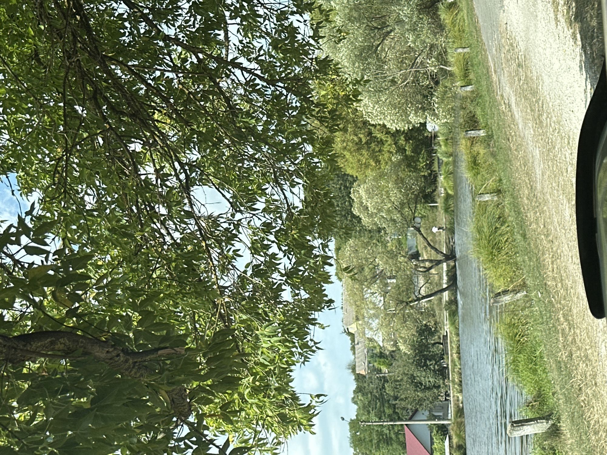This image depicts a serene, rural landscape in the village of Makiv, Ukraine. In the foreground, a dirt road curves to the right, bordered by dry grass and several wooden posts. A body of water, likely a pond or small lake, runs along the left side of the road, with tall green grass growing at its edge. In the distance, several buildings with red and grey roofs are visible amongst lush green trees. A single person, seen from behind, is walking near the water's edge. Overhead, large tree branches with abundant green leaves fill the upper portion of the frame, obscuring parts of the sky, which is a pale blue with scattered clouds. The overall impression is one of a tranquil summer day in a countryside setting.