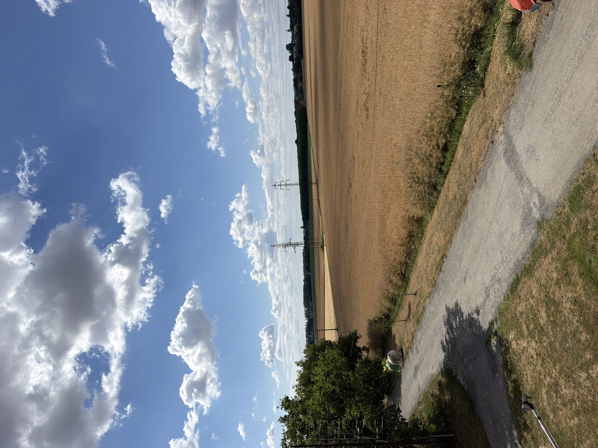 The image depicts a rural landscape under a partly cloudy blue sky. In the foreground, a paved road curves through dry, sun-baked grass. To the left of the road, a large green tree stands beside two large, domed waste bins. Beyond the road, a vast field of golden-brown crops, likely ripe for harvest, stretches towards the horizon. A power line pylon stands in the middle distance within the field, and another is visible further in the background, silhouetted against the sky. The horizon is marked by a line of trees, beyond which a cluster of buildings, possibly a village, is discernible, with church spires piercing the skyline. The scene appears tranquil and captures a moment in a rural setting in Pňovice, Czechia, during daylight hours.