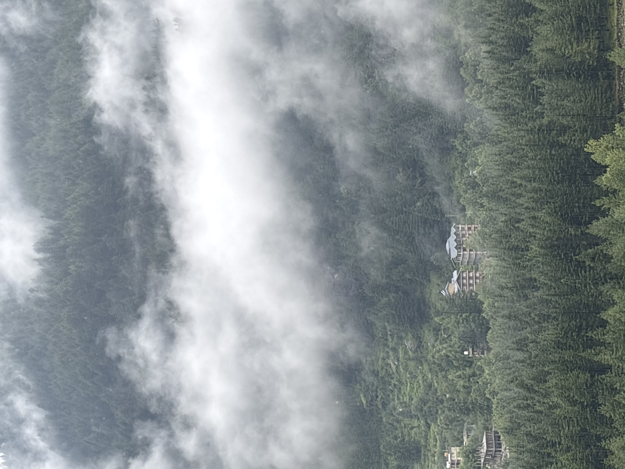 The image depicts a misty mountain landscape with a dense coniferous forest in the foreground and midground. Several buildings are visible nestled within the trees, suggesting a settlement. In the distance, more forested mountains are shrouded in fog. The style of the buildings, with their layered balconies and pitched roofs, appears to be common in mountainous regions of India, possibly Vashisht, India, known for its scenic beauty and thermal springs. The atmosphere is serene and somewhat ethereal due to the pervasive mist. There are no people or discernible actions in the frame. The environment is predominantly natural, characterized by trees and fog, with human structures integrated into the landscape.