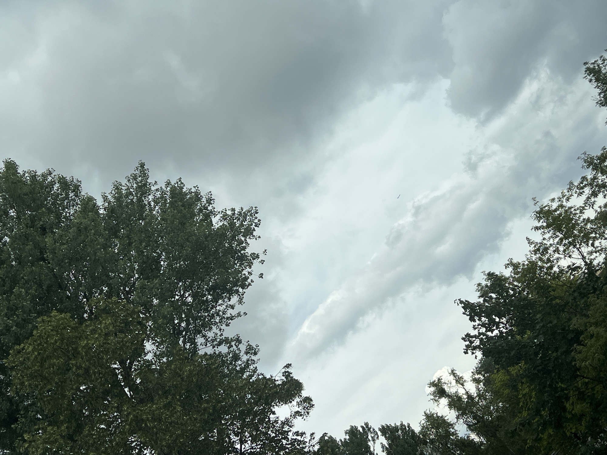 The image depicts a view looking upwards towards a cloudy sky, framed by the dark green foliage of trees. The clouds are varied in density, with some areas appearing lighter and more diffused, suggesting a break in the overcast, while other areas are darker and more consolidated, indicating heavier cloud cover. A faint, thin line, possibly a contrail from an aircraft, is visible in the upper left quadrant of the sky. The trees are dense with leaves, suggesting a leafy canopy. The overall lighting is subdued, consistent with an overcast day. The scene does not provide any specific visual cues to identify a location within the city of Warsaw, Poland, or any other urban environment. There are no people, specific objects, or actions identifiable in the image.