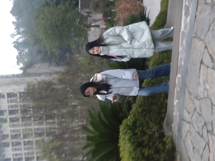 Two East Asian females are observed descending outdoor stone steps in Jiangjin, China, under overcast conditions. The steps are constructed from irregularly shaped flagstones. The female on the left, wearing a light blue puffer jacket with a light-colored collar, blue jeans, and glasses, holds a light-colored smartphone in her right hand, focusing her gaze downwards at the device. She has long, dark hair. The female on the right, positioned slightly ahead and on a lower step, wears a light green puffer jacket and light-colored pants, with a pink strap visible over her right shoulder. Her hands are not visible, possibly within her jacket pockets, and she also has long, dark hair. No direct interaction between the individuals is evident. The immediate left of the steps is bordered by dense green bushes and palm-like plants. In the background, a multi-story building with numerous windows is visible to the left, while dense trees and foliage on a sloped area occupy the right side, partially obscuring an additional structure. The ambient lighting is diffuse.