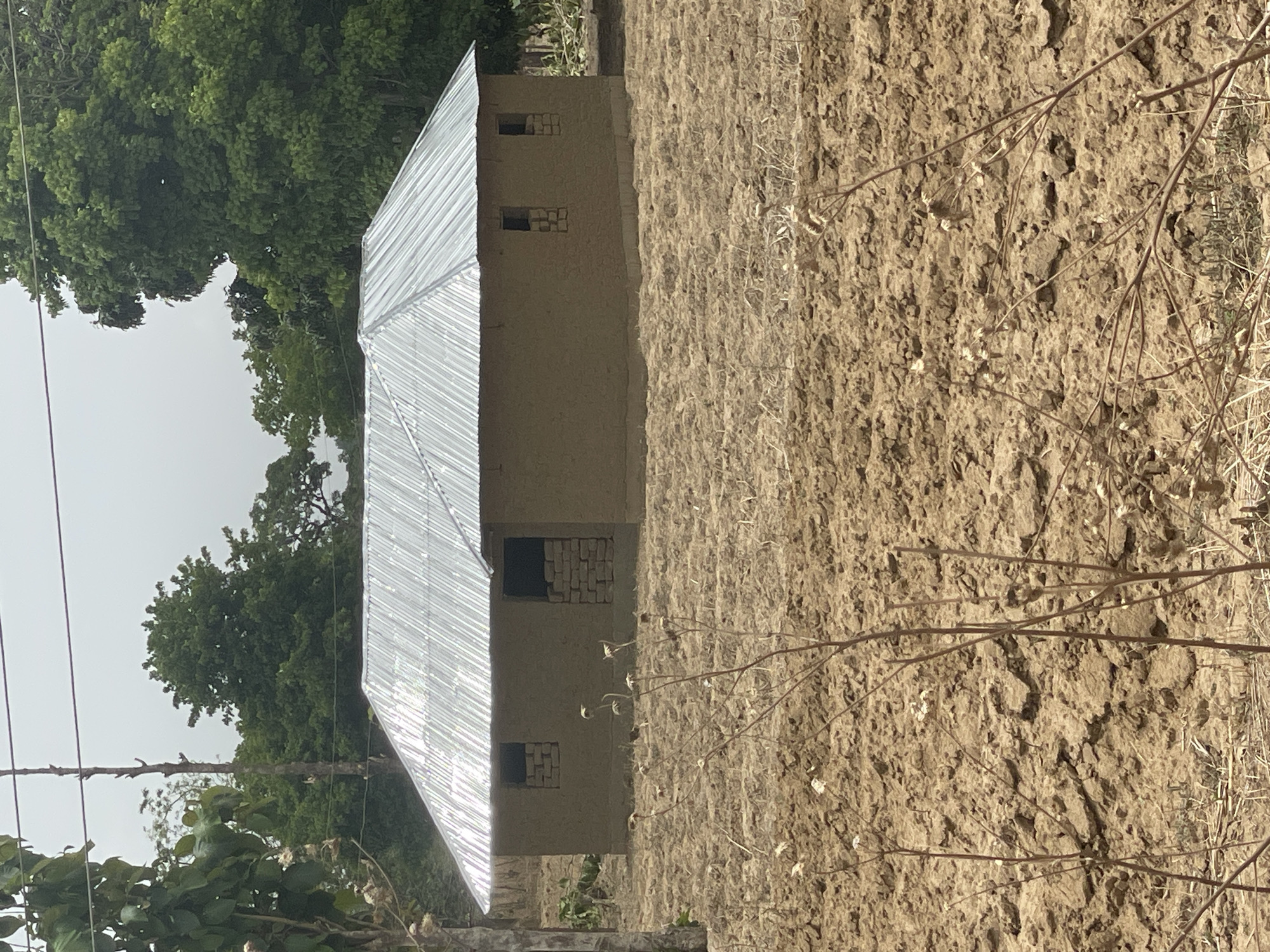The image, oriented incorrectly on its side, depicts a rural landscape under bright daylight. A simple, single-story building with a reflective, corrugated metal roof is prominent on the left side of the frame. Its walls appear to be constructed from earthen materials, possibly mud bricks, and are a light brown or tan color. Several small, rectangular openings, likely windows, are visible in the building's walls; some of these openings are partially blocked with stacked bricks or stones.
To the right of the building, a large expanse of dry, cracked, and uneven earth dominates the midground and foreground. This barren ground suggests a dry season or an uncultivated field. Scattered across this dry earth are thin, dry branches and plant stalks, indicating sparse vegetation.
In the background, beyond the building and the dry field, a dense canopy of lush, green trees extends towards a bright, hazy sky, which occupies the upper left portion of the image. The overall impression is one of a rustic dwelling situated in a dry, possibly arid, environment with more verdant areas in the distance.
No people or animals are visible, and no specific activity is taking place. The scene conveys a sense of stillness and the natural conditions of the area. The clear sky and strong lighting suggest it is daytime, likely mid-morning or early afternoon. There is no visible text in the image. The architectural style and arid landscape cues align with the provided location of Unguwar Gaya, Nigeria.