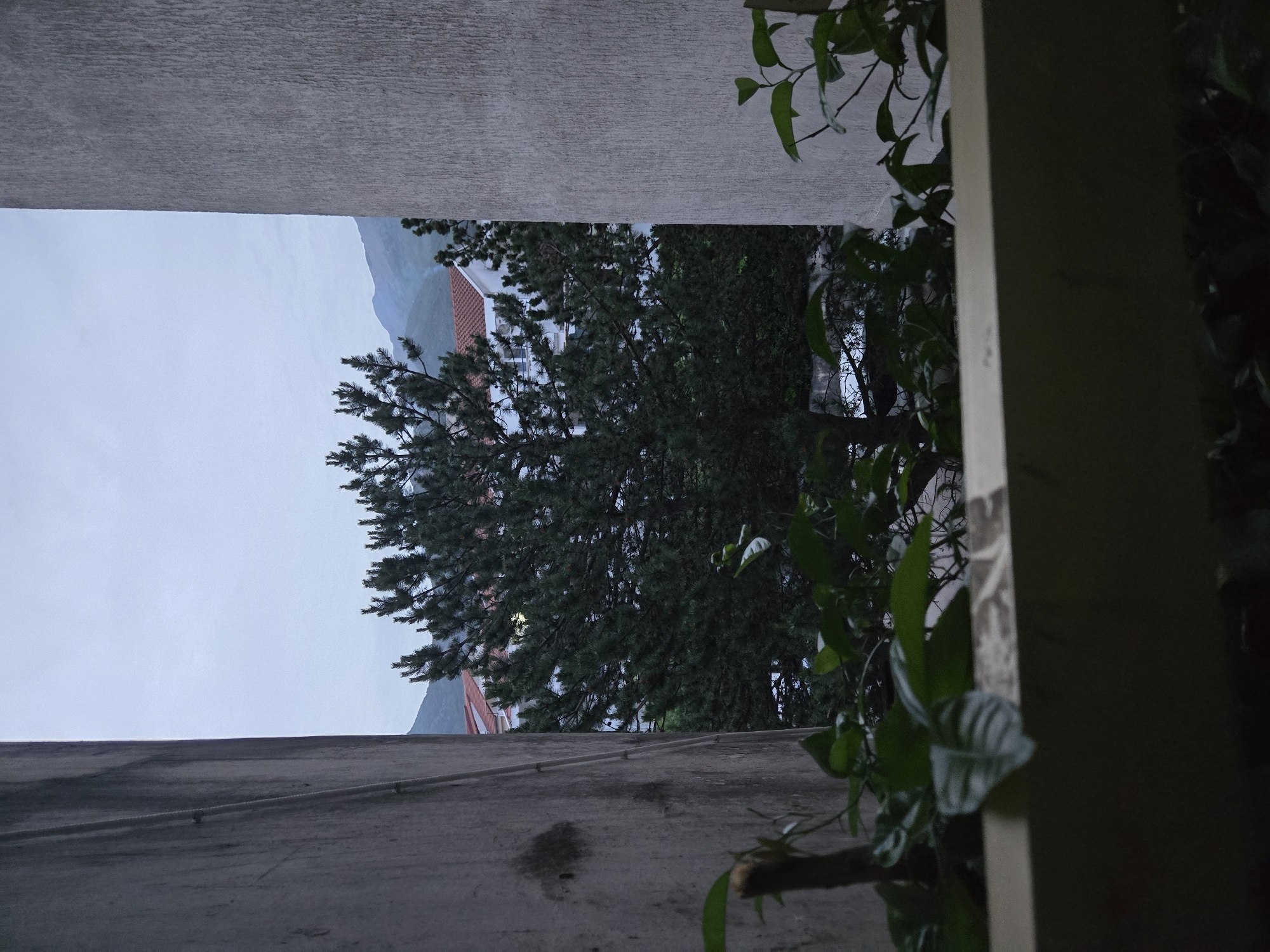The image depicts a view through a narrow space between two concrete walls, possibly an alleyway or gap between buildings. In the distance, a tree fills the space, partially obscuring a building with a red tile roof. Beyond the building, faint outlines of mountains can be seen against a gray sky. In the foreground, foliage extends from the right side into the scene, partially blocking the view. The lighting suggests it is either dusk or a heavily overcast day. The location is in the city of Unknown, Unknown.