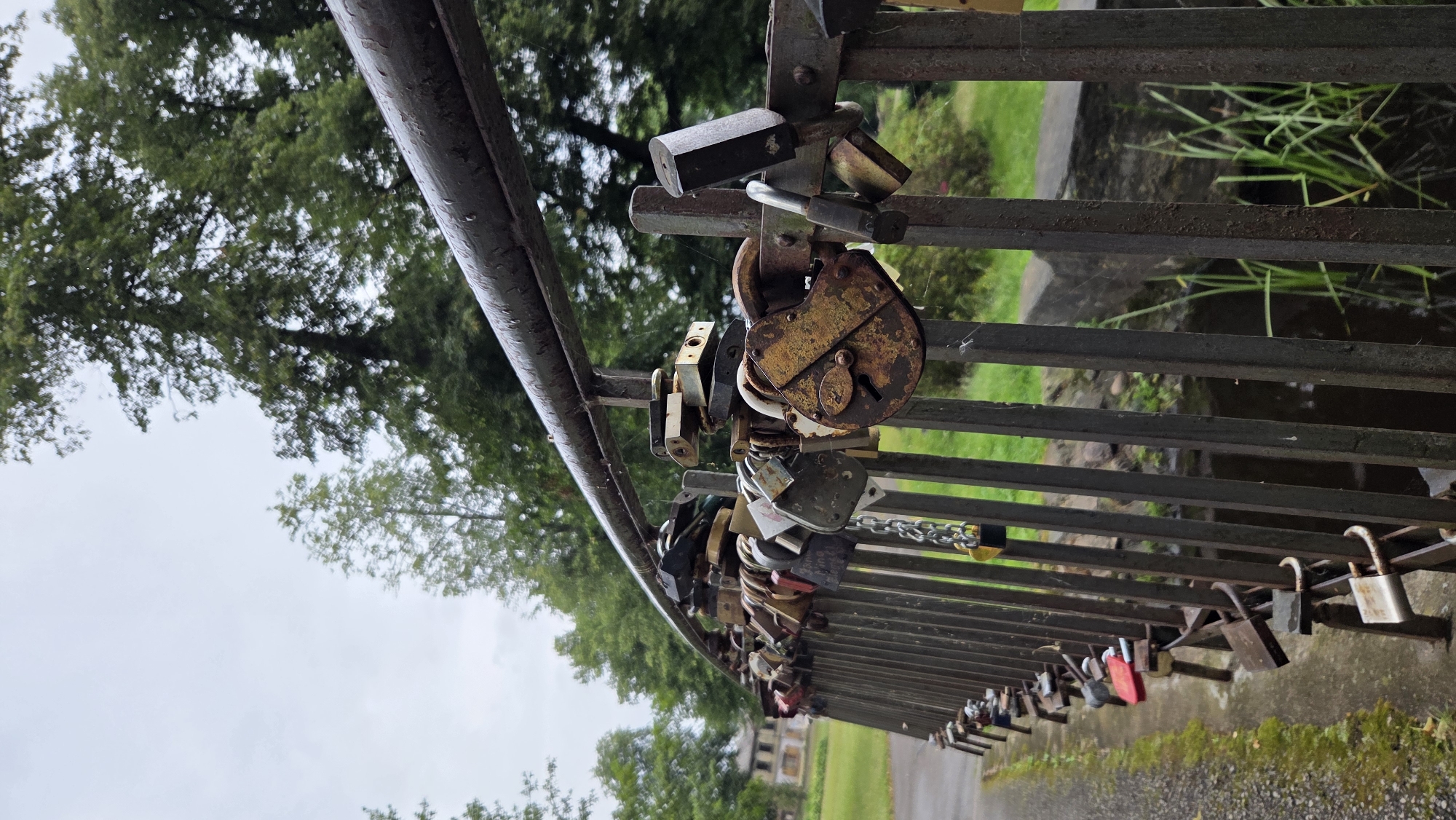 The image shows a close-up, eye-level view of a metal railing on a bridge adorned with numerous padlocks, some of which are old and rusted. The railing is a dark, weathered metal, and the padlocks are of various shapes, sizes, and colors, with some appearing to be attached with chains. Beyond the railing, trees with lush green foliage and a cloudy sky are visible. In the background, a pathway leads to the left, and a building with a dilapidated appearance can be seen through the trees. The lighting suggests an overcast day. The scene is situated on a bridge over a body of water, indicated by the presence of reeds and stones in the lower right portion of the frame. The specific location in Riga, Latvia, is not identifiable from the visual cues provided.