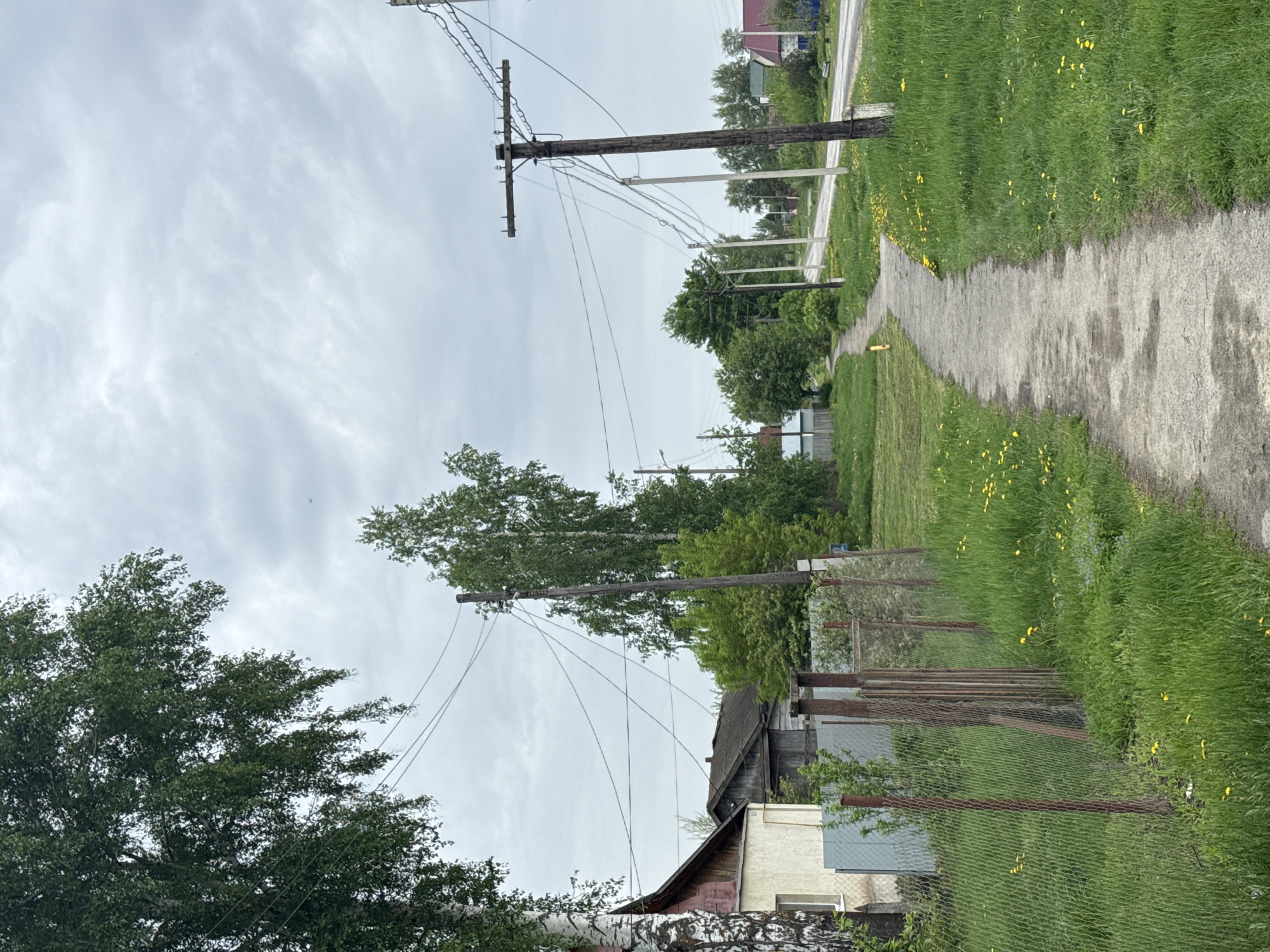 The image depicts a rural street scene in Ленино, Russia. A weathered dirt path runs between overgrown grassy areas filled with yellow flowers, likely dandelions. Utility poles with sagging lines are positioned along the path, hinting at older infrastructure. Fences, in varying states of repair, border the properties. Houses, some with aged wooden sections and others with more recent additions, are visible behind the fences. The sky is overcast. No people are visible.