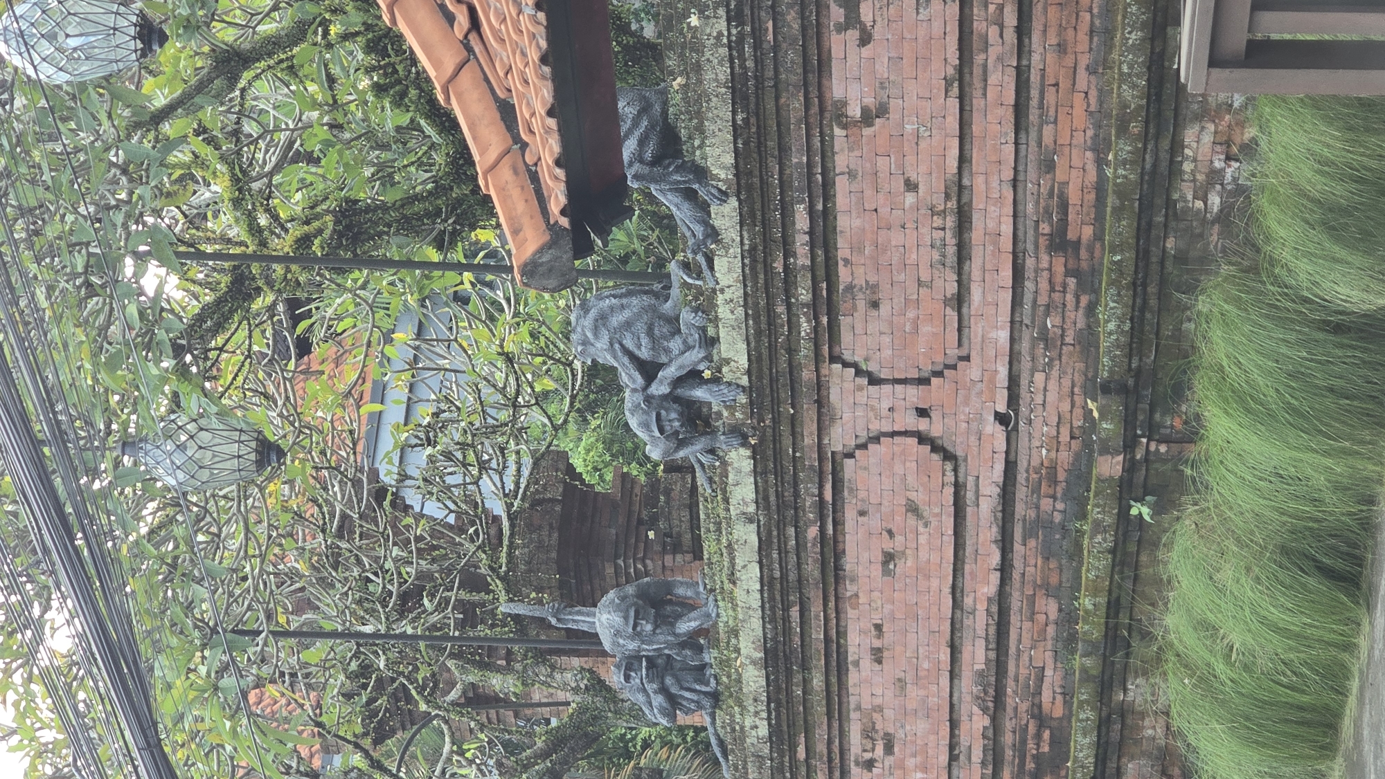 The image captures an outdoor tropical scene, likely in the Ubud District of Indonesia, characterized by rich cultural elements and abundant nature. In the middle ground, several dark grey, weathered stone statues of monkeys are prominently displayed. These statues are depicted in dynamic poses, appearing to interact or crouch upon a low, reddish-brown brick wall that extends horizontally across the frame. The wall shows signs of age with patches of moss and discoloration.
Above the statues and wall, dense, lush green foliage forms a canopy, filling the upper left section. Numerous tree branches, some heavily covered in bright green moss, interlace. Among these branches, two ornate, wire-caged light fixtures, resembling traditional lanterns, hang, alongside a cluster of black utility wires.
A section of a traditional reddish-brown tiled roof is visible in the upper right, suggesting an adjacent building or gateway. The lower right portion of the frame is filled with a thick patch of vibrant, tall green grass, adding to the natural setting. The scene is illuminated by natural daylight, likely overcast, creating soft lighting. There is no human activity or visible text. The overall atmosphere is serene and natural, reflecting the humid, tropical environment.