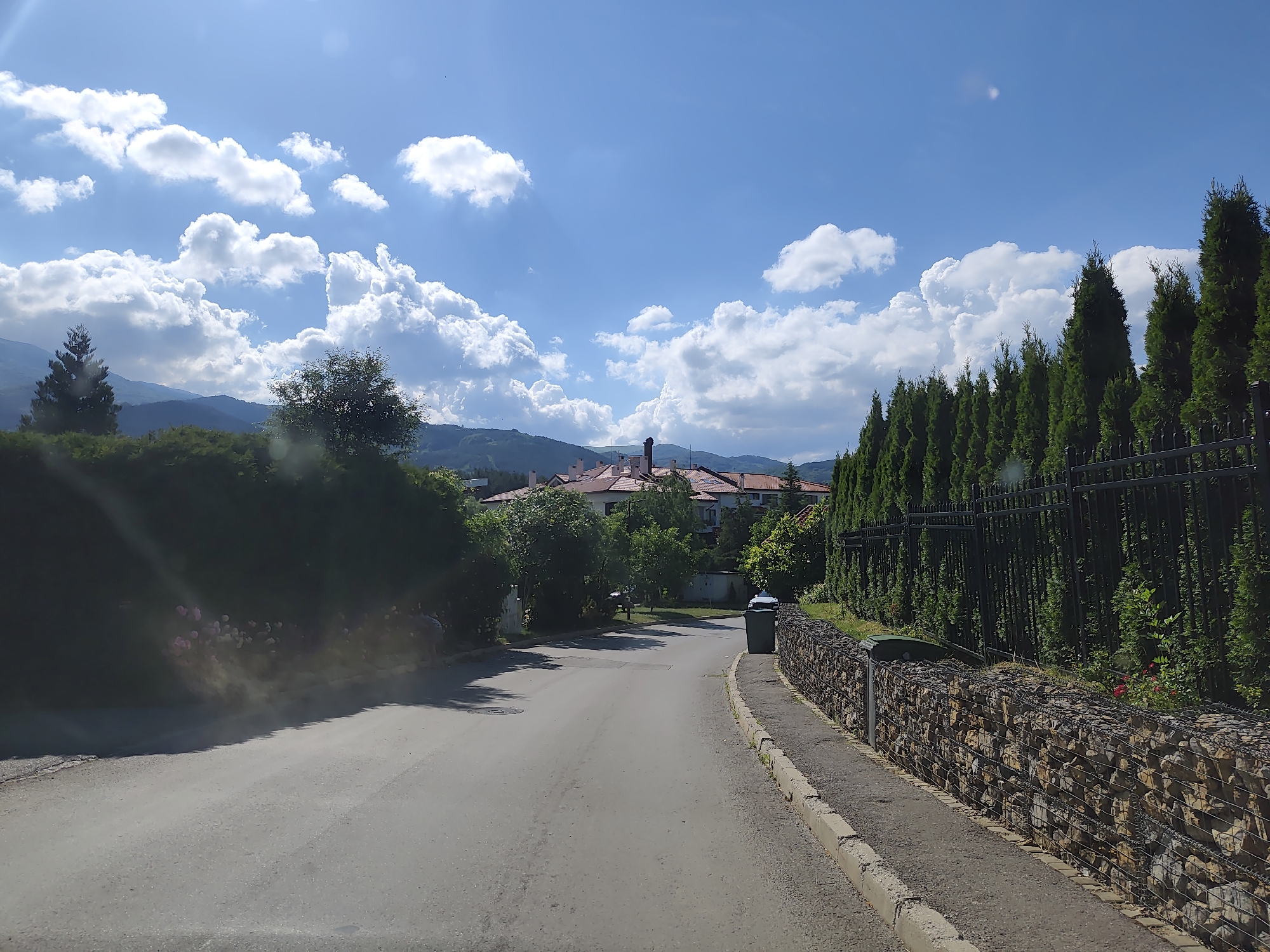 The image captures a sunlit, scenic road winding through Kladnitsa, Bulgaria. The road surface is asphalt, with a gravel and stone wall lining the right side. A row of tall, green cypress trees forms a natural fence along the wall, behind which a black metal fence is visible. Across the road, a dense green hedge with a few pink flowers breaks the monotony of the foliage. In the distance, nestled amongst trees, are houses with reddish-tiled roofs. The sky is a vibrant blue, dotted with fluffy white clouds, and a range of hills or mountains forms the backdrop. The sun casts a strong glare on the left side of the road, creating lens flare. No people are visible in the frame. A dark green trash bin is positioned on the right side of the road.
