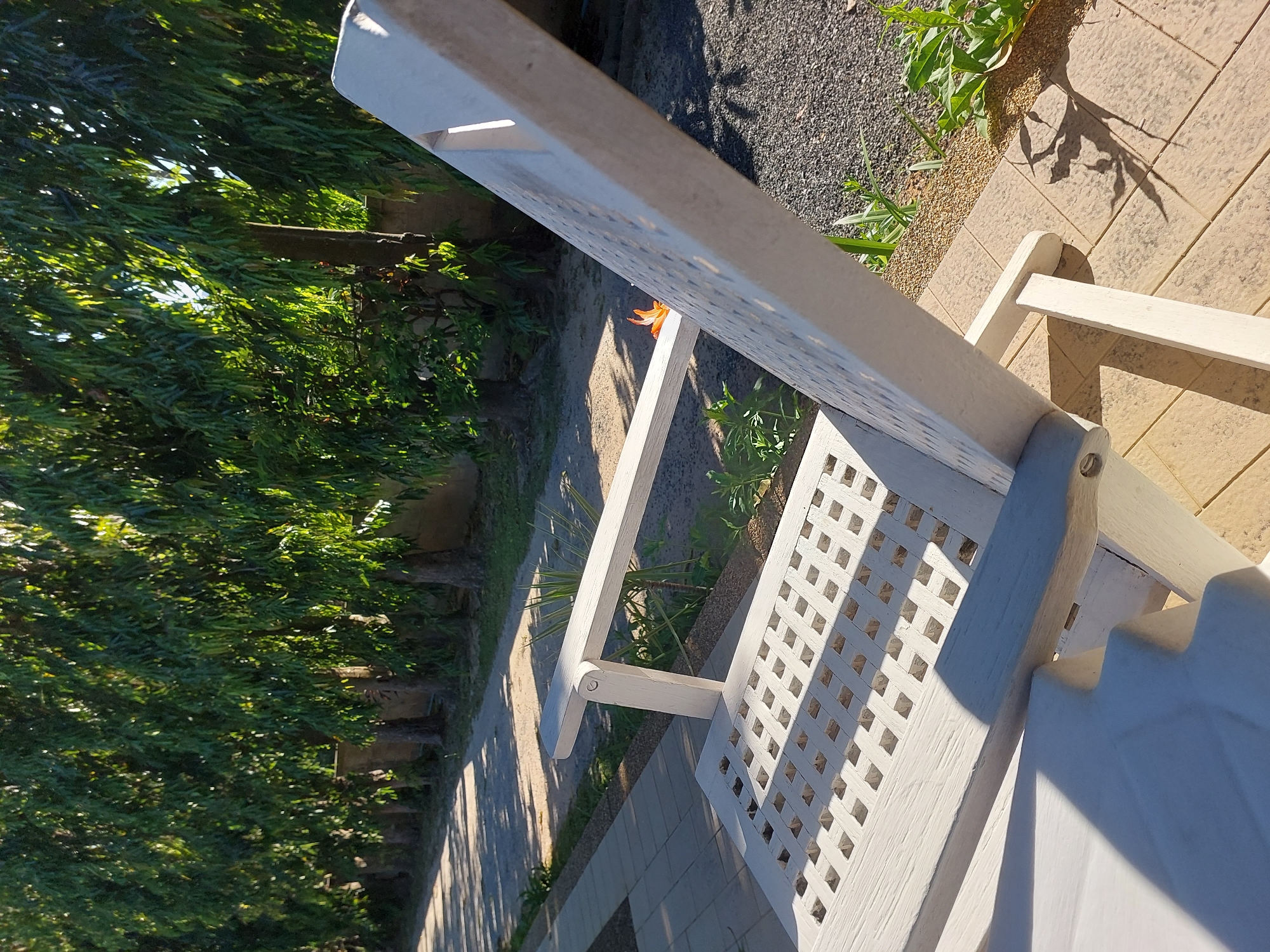 The image depicts a white wooden outdoor chair situated on a tiled patio area. Behind the chair, a line of trees with dense green foliage forms a natural barrier, with a wall visible behind the trees. A path made of gravel and sand runs alongside the trees, partially shaded by their leaves. The lighting suggests it is daytime, with strong sunlight casting shadows. In the background, a few more trees can be seen, and the ground is covered with small pebbles. There is a single, orange flower peeking out from behind the chair's armrest. The overall scene appears to be a tranquil outdoor setting, likely a garden or courtyard, in Baan Mae Nam, Thailand.