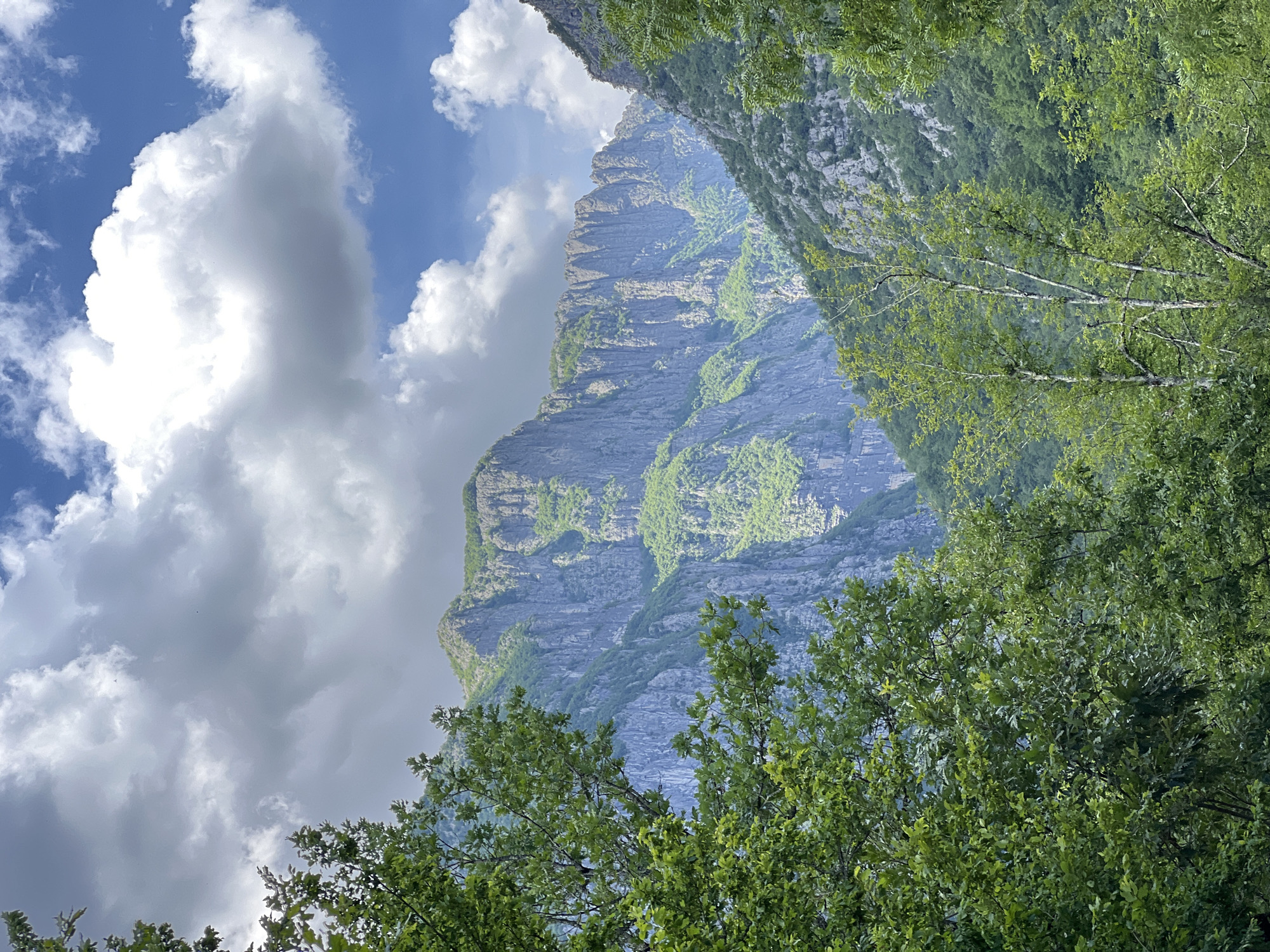 The image shows a mountain in Mrtvo Duboko, Montenegro, framed by trees in the foreground and clouds in the sky. The mountain face is rocky and textured, with some green vegetation growing on its surface. The sky is blue with white and gray clouds. Trees with green leaves fill the foreground, partially obscuring the view of the mountain.