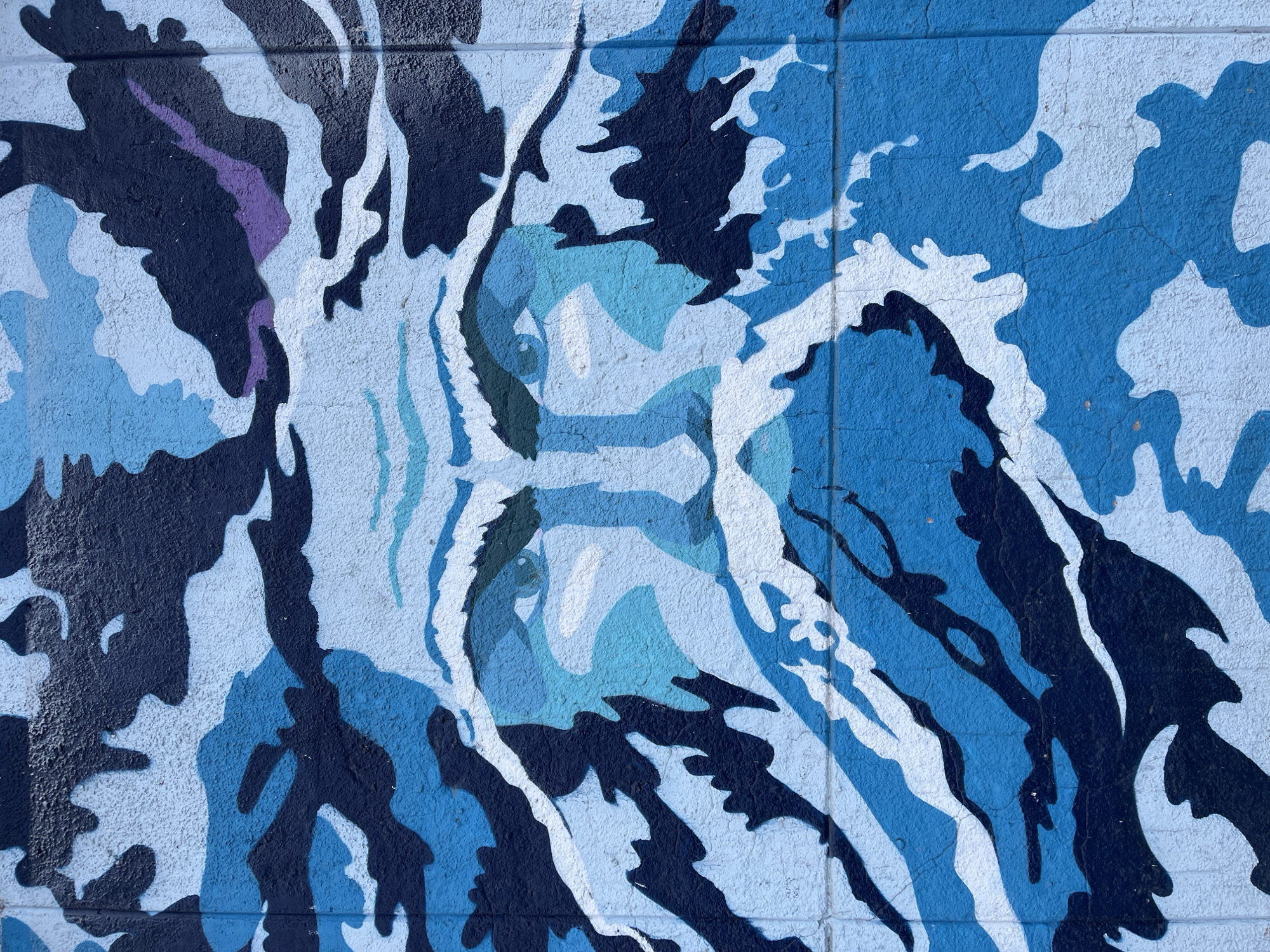 The image captures a vibrant mural painted on a textured wall, located in Krasnoyarsk, Russia. The central subject is a stylized, abstract face, strongly resembling a large cat or tiger, rendered in a camouflage-like pattern.
The primary colors used are various shades of blue, ranging from light sky blue to medium blue and deep navy, contrasted with bold white and dark, almost black, outlines. Subtle hints of purple are visible on the left side of the face, and a faint green near the right eye, adding depth to the palette.
The face is depicted looking directly forward, with two discernible eyes forming the focal point of the artwork. The artistic style uses irregular, interlocking shapes and contrasting colors to create the form, giving it a fragmented yet cohesive appearance. The brushstrokes and textures suggest it is painted on a rough, possibly concrete or cinder block, surface, with mortar lines visible horizontally and vertically. Some minor cracks in the wall's surface are also evident.
The lighting appears bright and even, indicating the photograph was captured during daylight hours, without harsh shadows. No specific activity is taking place within the frame, as it is a static representation of public art. There is no visible text present in the mural or on the wall. The overall impression is one of striking visual impact due to the strong color contrasts and distinctive artistic interpretation of the subject.