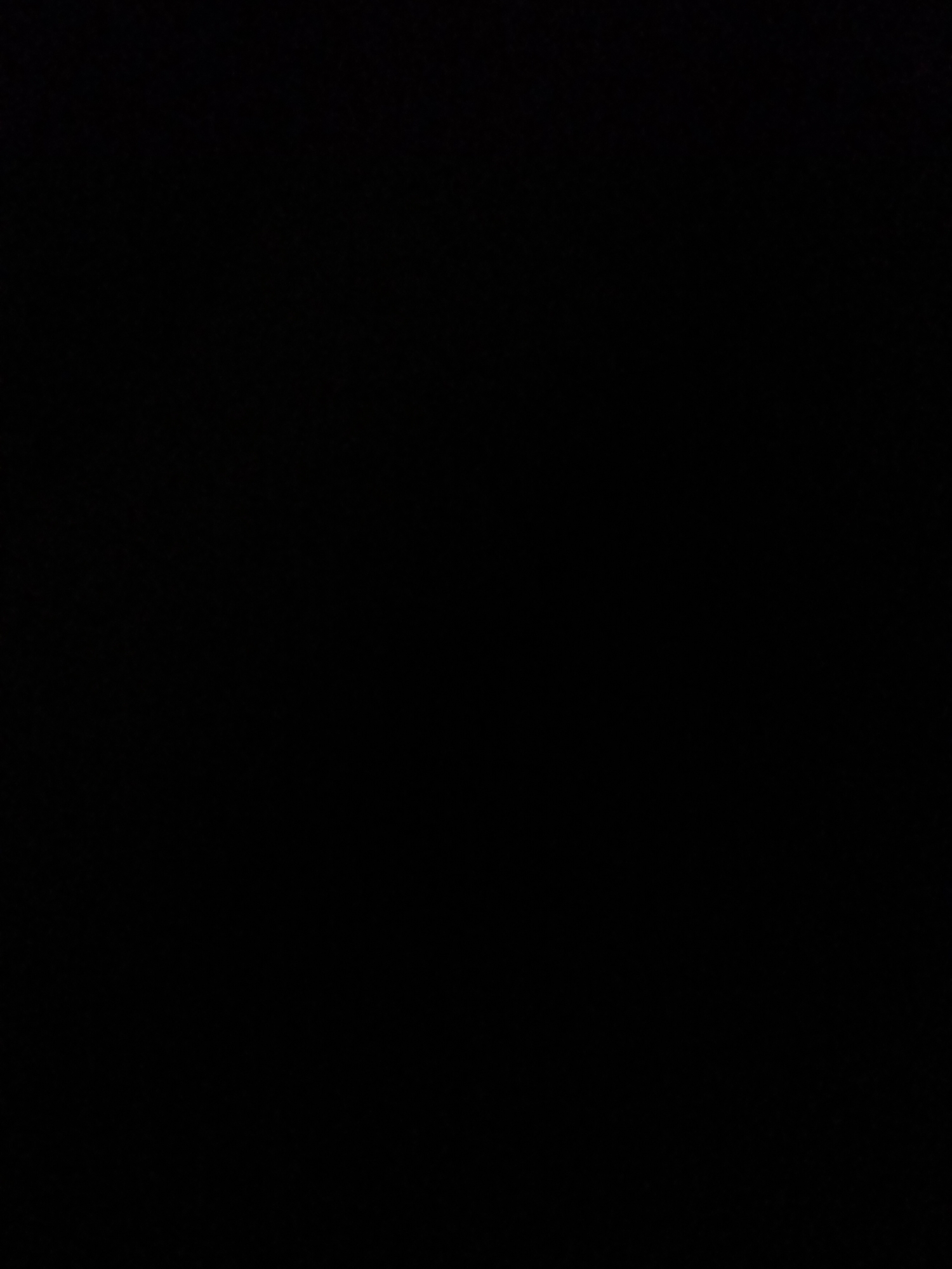 The image is a black screen. No subjects, activities, notable details, or text are visible.