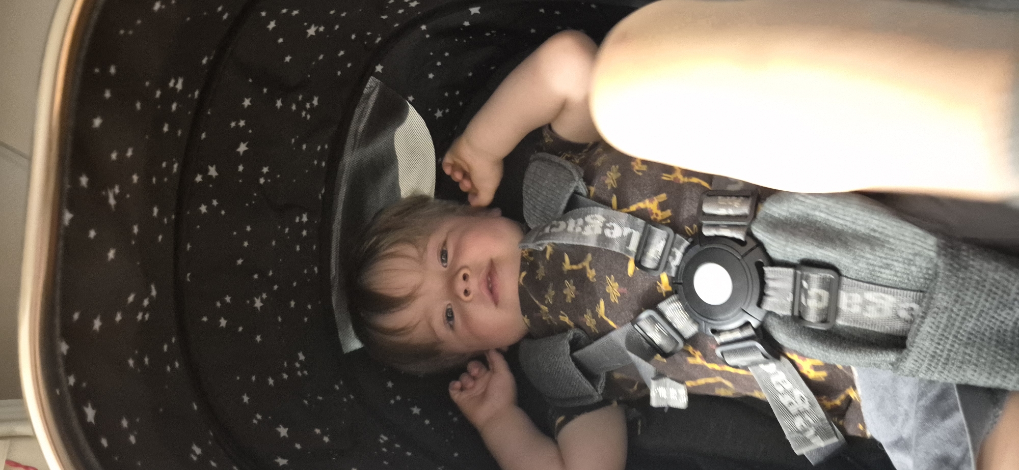 The image shows a close-up, top-down view of a baby lying in a stroller. The stroller's interior is lined with black fabric featuring a pattern of white stars. The baby, with fair skin and light brown hair, is wearing a brown onesie with a repeating pattern of giraffes and yellow flowers. The baby is secured by a gray five-point harness with "Legacy" visible on the straps. The baby's right arm is resting near its head, and its left arm is bent at the elbow. The baby's gaze is directed slightly off-camera to the left, and its mouth is slightly open, giving a soft expression. The lighting in the image is warm and bright, suggesting it was taken during the daytime, possibly indoors or in a shaded outdoor area. The overall scene is intimate and focused on the baby's comfort and safety within the stroller.
