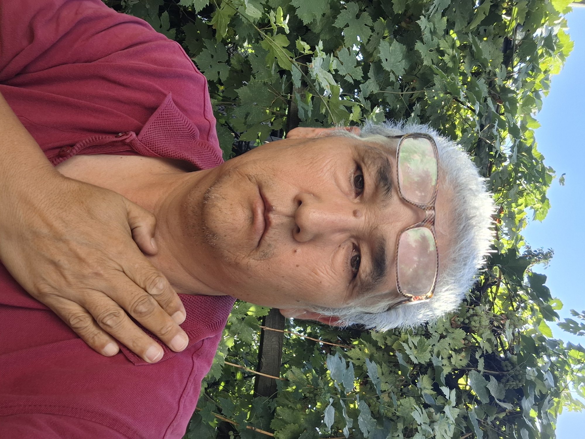 A close-up, front-facing selfie of an East Asian man with graying hair and glasses is captured outdoors. He is wearing a red collared shirt and has his right hand placed over his chest. The background consists of lush green foliage from grapevines and a clear blue sky, suggesting an outdoor setting likely during daytime. The scene is not specific to Almaty, Kazakhstan, or any particular city.