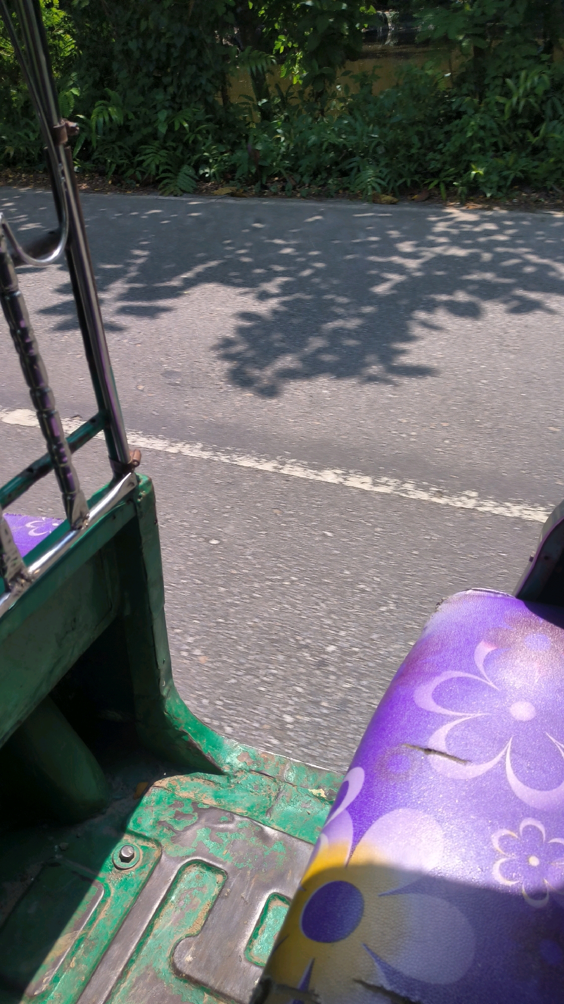 The image depicts a view from within a green, open-sided motorized rickshaw (auto-rickshaw) as it travels along a paved road. The seat in the foreground, on the right side of the frame, is upholstered in a purple fabric with a floral pattern. A portion of the green body of the rickshaw is visible on the left, showing signs of wear. The road surface is asphalt with a white line marking the lane. On the left side of the road, dense green foliage, including trees and ferns, lines the edge, casting dappled shadows on the road from the sunlight filtering through the leaves. The environment suggests a rural or suburban setting, possibly on the outskirts of Begumganj Upazila, Bangladesh, given the commonality of auto-rickshaws and lush vegetation in such areas. No people are visible in the frame, and the focus is on the interior of the vehicle and the passing scenery.