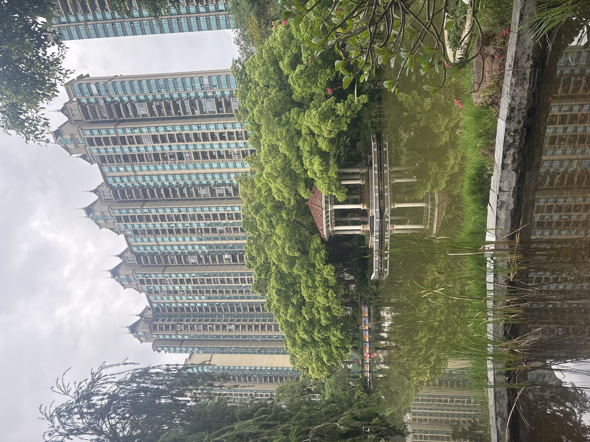 This is a wide-angle, eye-level, exterior photograph of a park with a pond in front of a residential high-rise complex in Nanhai District, China. The buildings are tall and modern, with many windows reflecting the overcast sky. A line of lush green trees forms a backdrop to the pond, with a small gazebo in the middle of the water. Reeds and other aquatic plants grow along the edge of the pond in the foreground, and their reflections, along with those of the buildings and trees, are visible in the water. A stone wall borders the pond, and there are some rocks and small pink flowers growing on the bank. A weeping willow tree is visible on the left side of the frame, its branches hanging over the water. There are a few colorful inflatable boats on a dock in the background, suggesting it is a recreational area. The overall scene is serene and natural, despite the presence of the modern buildings.