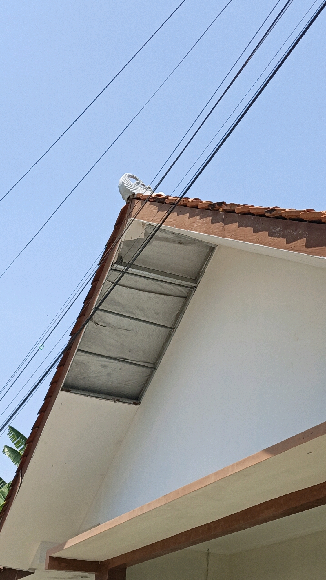The image shows the exterior of a building in Cikal, Indonesia, with a focus on the roofline and surrounding elements. The roof is tiled with reddish-brown tiles and features a decorative white ornament on the peak. Several dark electrical wires are visible crisscrossing the bright blue sky above the building.
Part of the roof structure is exposed, revealing metal framing and a gray, matte material that appears to be insulation or a protective covering. This exposed section is located under the eaves of the main roof. The building's wall is painted white, and there is a brown trim along the edge of the roof overhang.
In the lower left corner, a few green leaves of a tropical plant, likely a banana tree, are visible, suggesting a vegetated environment around the building. The lighting indicates it is daytime with clear skies and strong sunlight, casting shadows on the roof. There are no people or animals visible in the image. The scene appears to be a snapshot of typical residential or commercial architecture in an outdoor setting.