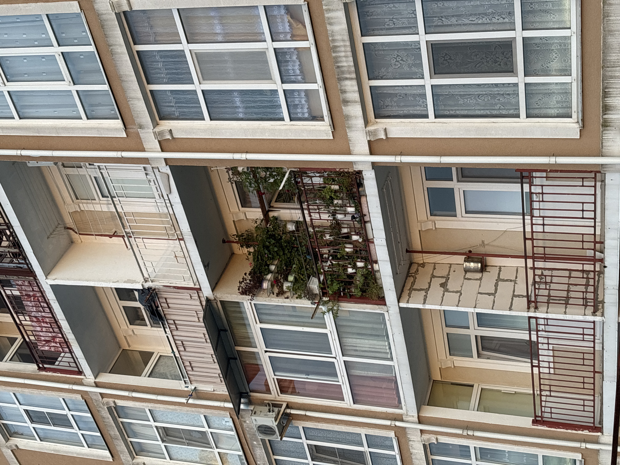 The image depicts an exterior view of a building. It shows several windows with white frames, some of which are covered with curtains. The building has a beige or light brown facade. There are balconies visible with some containing plants. One balcony is covered with a white and red cloth. The scene is lit with daylight. The image is rotated.