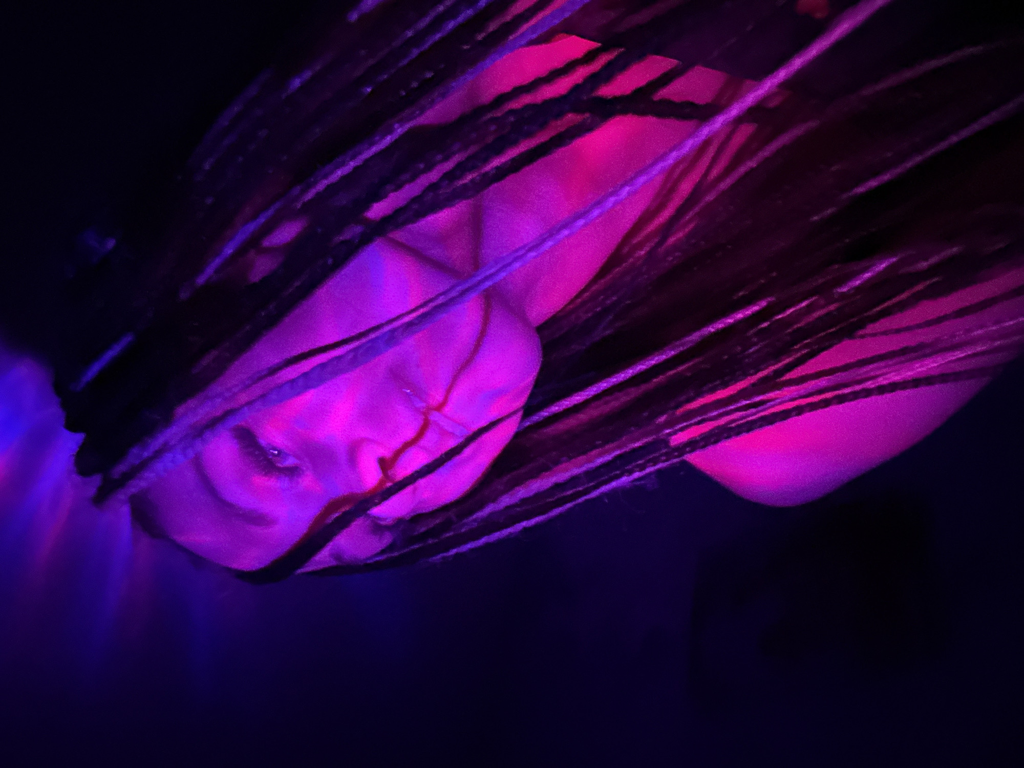 This media file presents a close-up portrait of a person with long, dark braids, illuminated by dramatic artificial lighting. The dominant colors are vibrant purple and magenta pink, casting strong highlights and deep shadows across the subject's face and hair. The person's head is tilted, and they appear to be looking towards the viewer.
One eye is clearly visible, reflecting the bright pink light, while the rest of the face is partially obscured by shadows and the intense color gradients. Braids frame the face, with several strands falling across the forehead and cheek, adding texture and depth. A subtle reddish or pinkish streak is noticeable near the bridge of the nose, possibly a reflection from the lighting, a makeup detail, or a temporary marking.
The background is largely dark, almost black, which intensifies the focus on the brightly lit subject. The powerful, colored lights suggest an indoor setting, such as a club, concert, or an art installation designed for atmospheric effects, rather than an outdoor scene. The time of day is likely night or a darkened interior where natural light is absent. The overall mood is mysterious and artistic. No visible text is present in the image. The location context is Rusanovo, Russia.