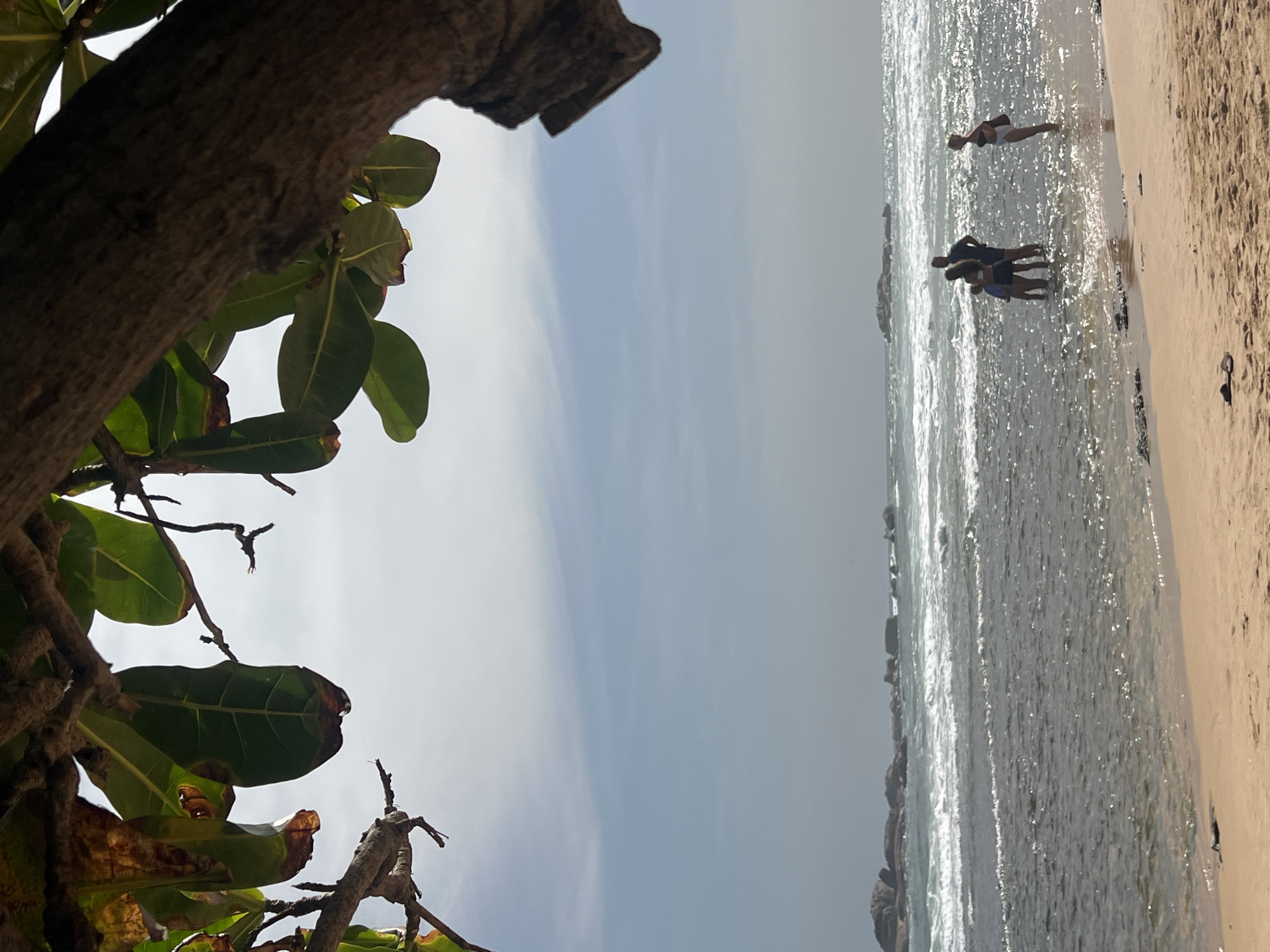 The image captures a serene beach scene in Hikkaduwa, Sri Lanka, under a pale blue sky with wispy clouds. In the foreground, the gnarled branches and lush green leaves of a tree frame the view, obscuring a portion of the sky. The sand of the beach is a warm, light brown, with scattered debris visible.
Further into the scene, the ocean stretches out, with gentle waves rolling towards the shore. A line of large, dark rocks is visible in the distance, emerging from the water. Several people are present in the shallow water. Two figures stand together, one appearing to be a man and the other a woman or older child, both facing towards the sea. To their right, a woman stands alone, facing away from the camera and towards the ocean. To the left of the central group, a smaller figure, possibly a child, stands in the water. The water is clear enough to see the sandy bottom in places, and sunlight glints off its surface. The overall impression is one of a peaceful day at a tropical beach.