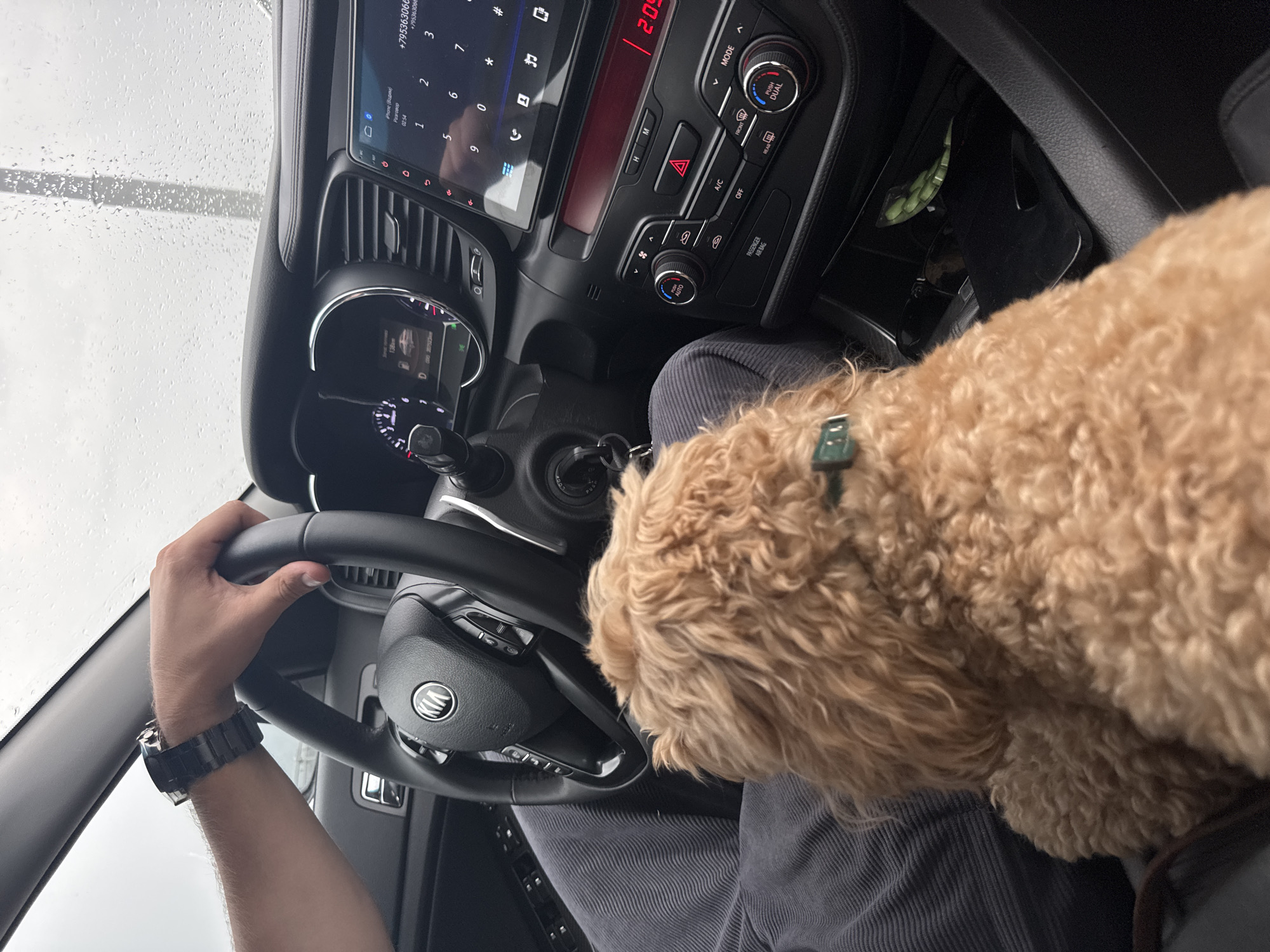 The image shows the interior of a Kia car. A person's left hand, wearing a dark watch, is on the steering wheel. A fluffy light brown dog is sitting in the passenger seat. The car's dashboard is visible, including the instrument cluster and the infotainment screen, which displays a phone keypad and contact information. The time displayed on the car's clock is 2:09. The car appears to be parked or driving in rainy conditions, as evidenced by water droplets on the windshield. The scene is set in Saratov, Russia.