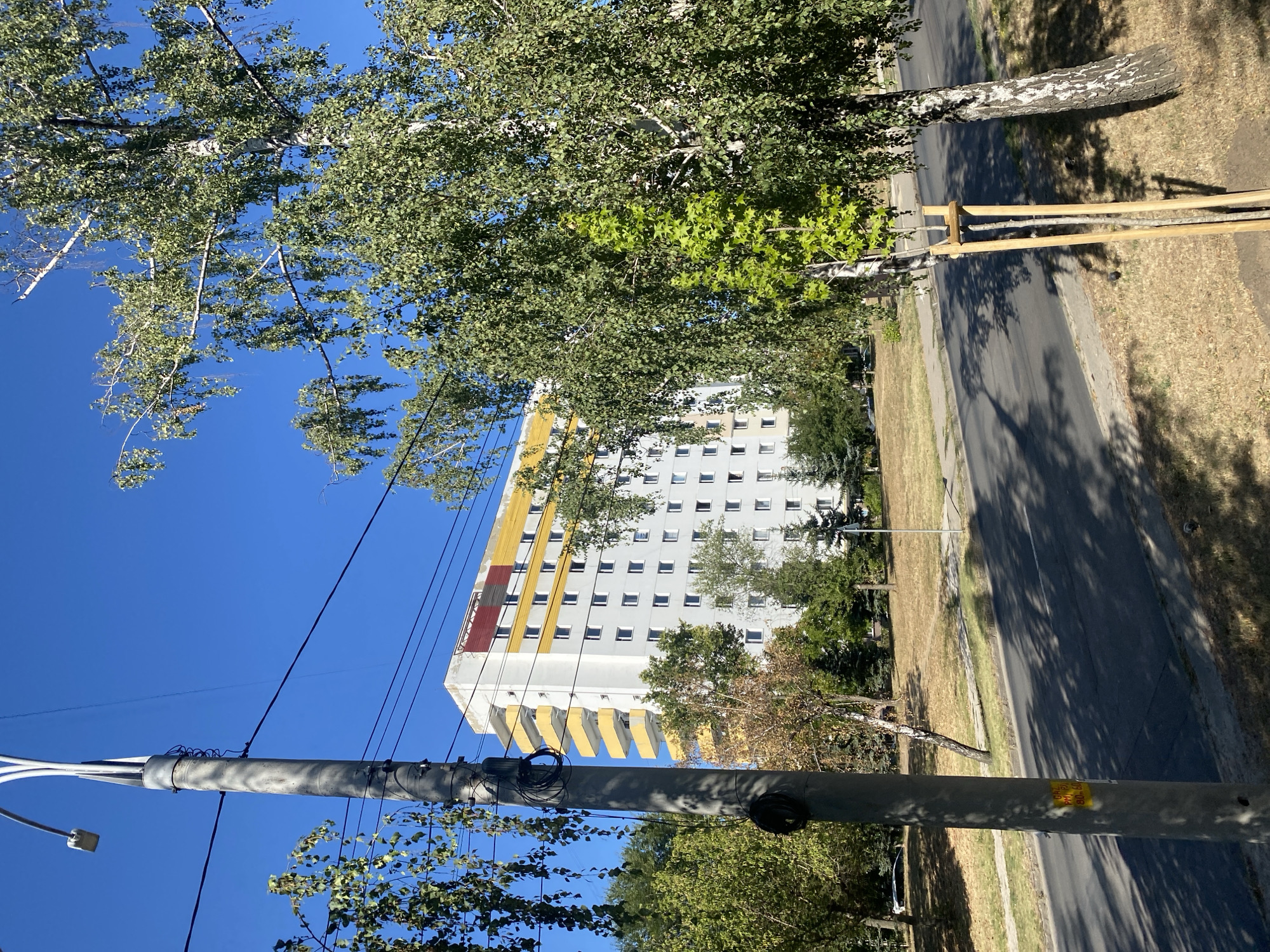 This is a ground-level, daytime, exterior, medium shot of a residential building in Chișinău, Moldova. The building, a multi-story apartment block with a white facade and yellow and red accents near the top, is situated behind a tree-lined street. A concrete lamppost, with wires running from it, stands in the foreground to the left. A birch tree with green leaves and dangling branches is prominently featured in the right half of the frame, partially obscuring the building. The sky is clear and blue. The street is paved and appears to be in a residential area, with dry grass and smaller trees along the sidewalk.