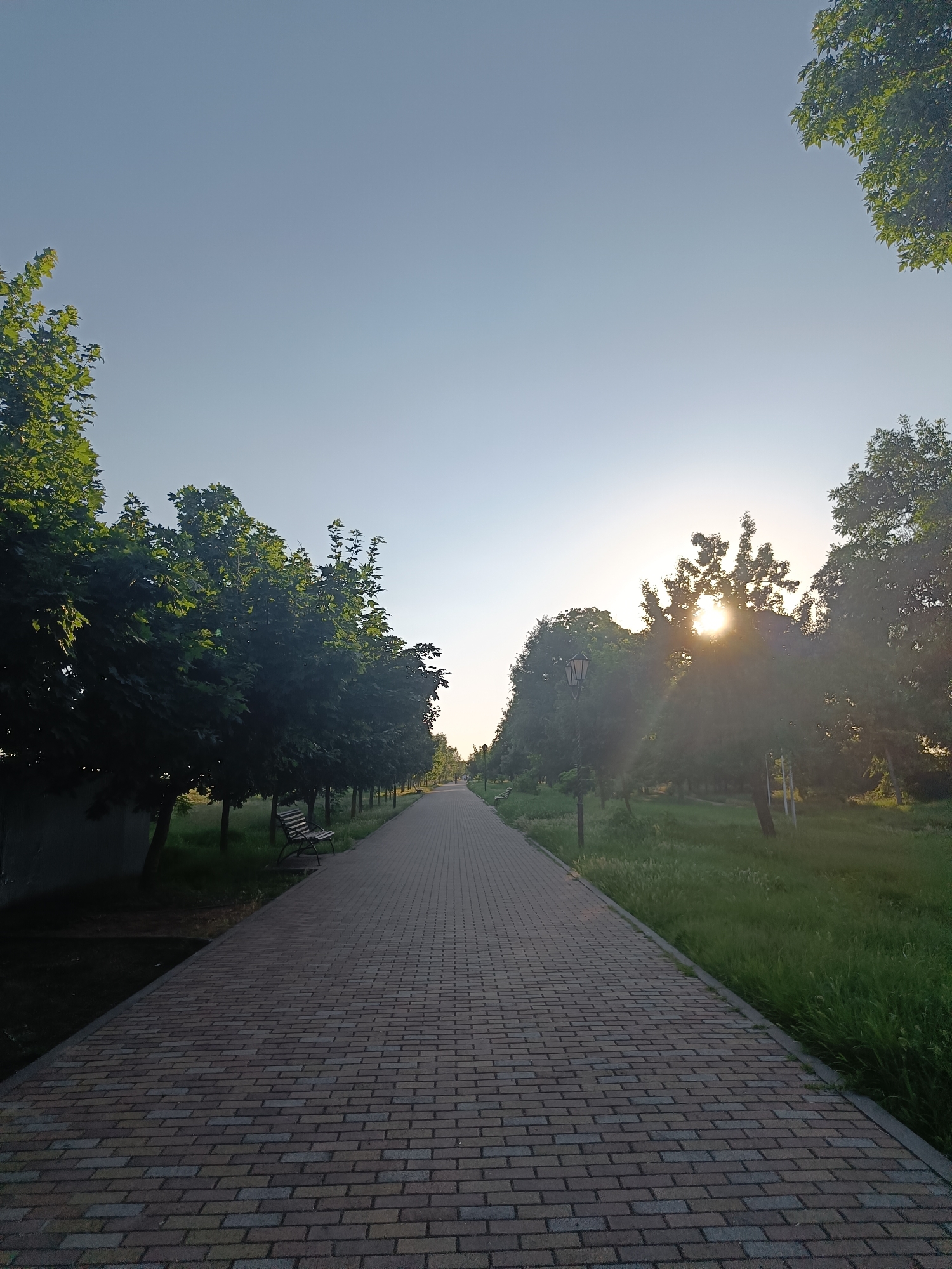 This is a vertical, eye-level, full shot of a paved park pathway in Aleksandrovskoye, Russia, on a clear, sunny day. The pathway, made of multi-colored bricks, extends into the distance, lined by manicured trees on both sides. The left side of the pathway is bordered by a dark concrete wall and lush green grass. A single park bench is visible on the left side, nestled among the trees. On the right side, the pathway is also bordered by green grass, and a lamppost stands near the trees. The sun is setting, casting a warm glow and peeking through the leaves of the trees on the right, creating lens flare effects. The sky is a pale blue. There are no people in the image.
