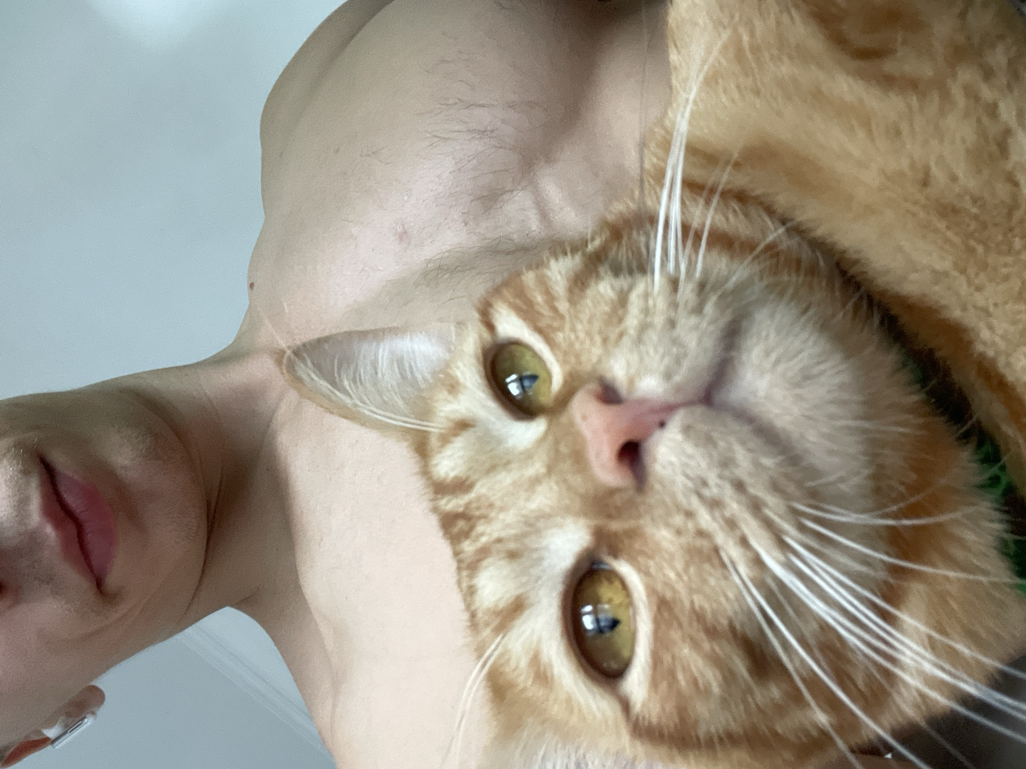 This close-up image features an orange tabby cat and a person, captured from a low-angle perspective looking upwards. The subjects appear to be looking down towards the camera.
The dominant subject is an orange tabby cat, positioned on the right side of the frame. It has rich orange fur with subtle darker stripes, large, reflective green-gold eyes, a delicate pink nose, and prominent white whiskers fanning out. The cat's expression is calm and direct, gazing into the lens.
On the left and in the background, a person's bare shoulder and chest are visible, characterized by fair skin and fine body hair. A portion of their face, specifically the lips and chin, is also seen from above. The lips are slightly parted, and a white earbud is visible in the person's left ear.
The scene is set indoors against a plain, light-colored background, suggesting a simple wall or ceiling. The lighting is bright and even, indicative of daytime. The overall impression is an intimate moment between a pet and its owner. The provided location context is Kuta Selatan, Indonesia. There is no visible text in the image.