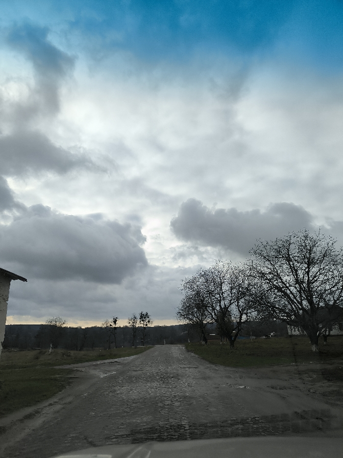 This image depicts a rural scene in Khrinivka, Ukraine, under an overcast sky with patches of blue visible at the top. A wet, unpaved road, potentially cobbled or heavily rutted, extends from the foreground into the midground, curving slightly to the right. A muddy track diverges to the left from this main path. On the immediate left, a portion of a light-colored building with a dark-sloped roof is visible. Numerous bare deciduous trees are present on both sides of the road and in the distant background, standing on grassy, damp ground. Faint outlines of additional structures are discernible among the trees on the right horizon. No individuals or active subjects are visible. The perspective suggests the image was captured from within a vehicle.