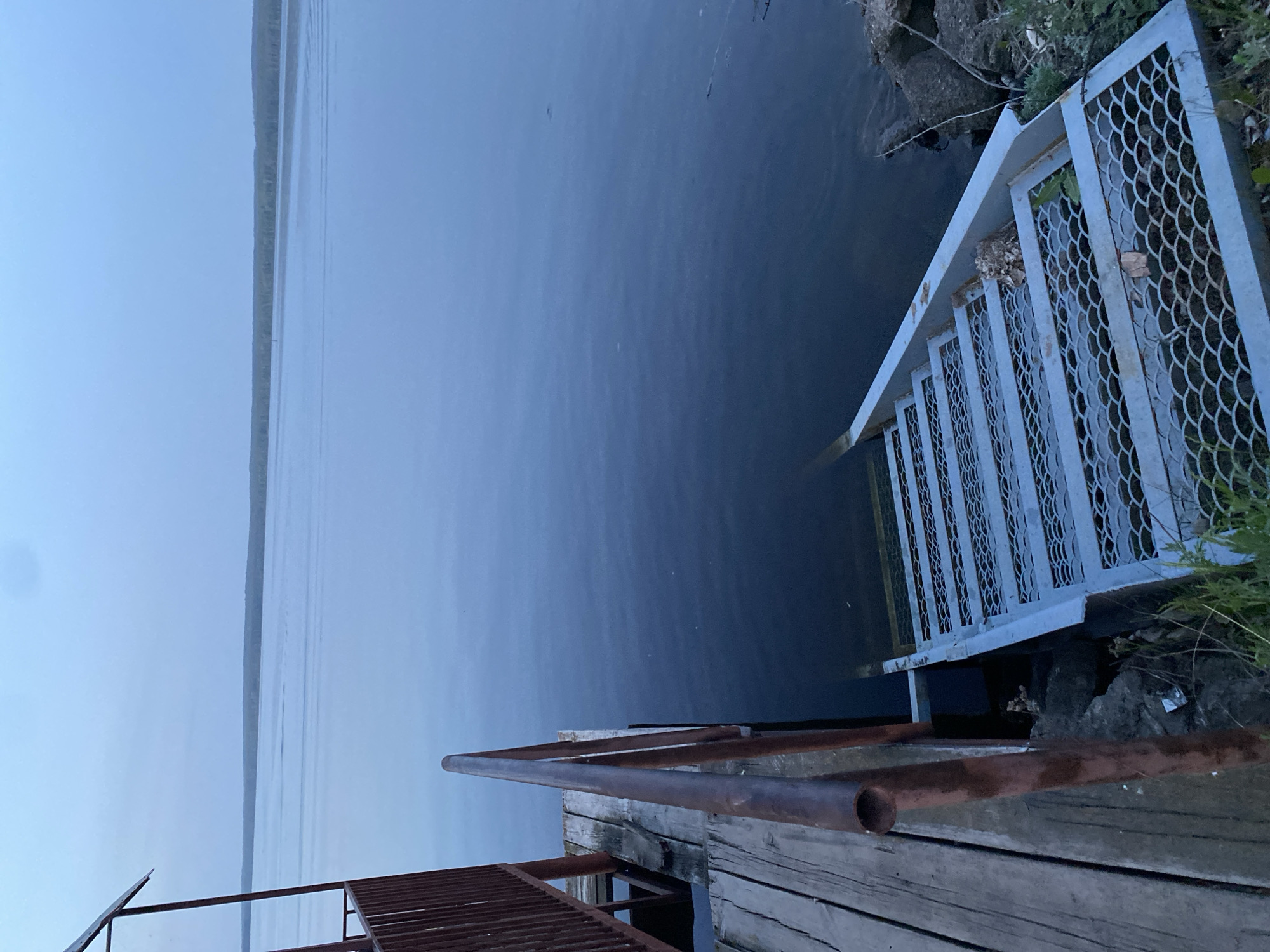 From a low angle, the image depicts a pier with a staircase leading into the water. The staircase is metal and has a grated pattern. Some stairs are submerged. The water is dark and calm. Beyond the water, there is a shoreline with trees. The sky is overcast. The location may be in or near Chaikovsky, Russia.