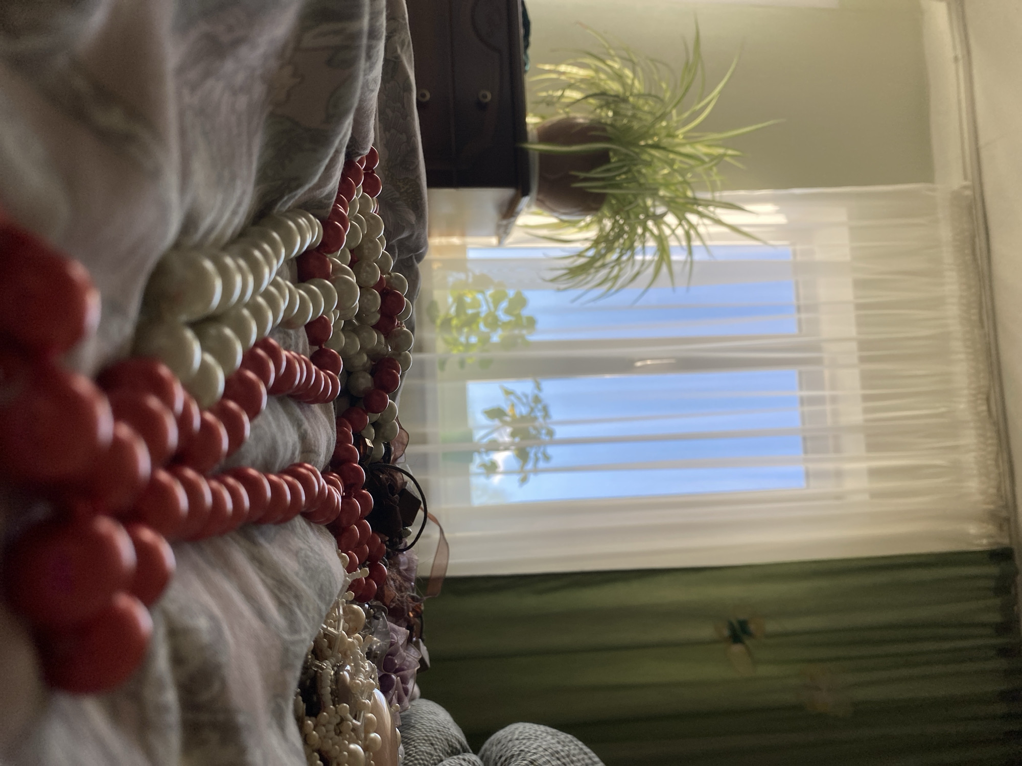 The image presents an interior scene with a blurred foreground object featuring rows of red and white beaded necklaces. The background is a window with white blinds revealing a view of a blue sky with some trees. A potted spider plant is visible on a surface near the window. Below the window is a green surface. The location is unknown and is not possible to determine from the image. The image contains no people.