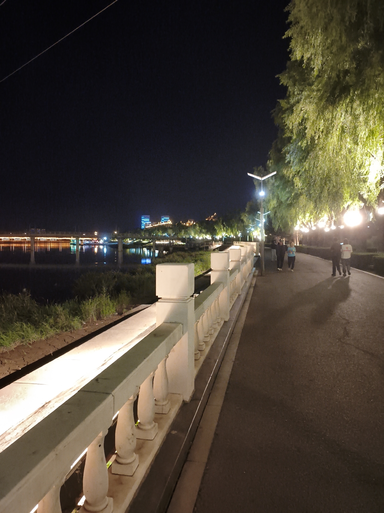 An outdoor night-time scene shows a paved walkway alongside a body of water, with a white balustrade bordering the water. The walkway is lined with trees, some of which are illuminated with lights, and the water reflects lights from a distant bridge and buildings. Several people are walking on the path. In the distance, a bridge spans the water, with illuminated buildings on the far bank. The sky is dark. The location is Dongxing Street, China.