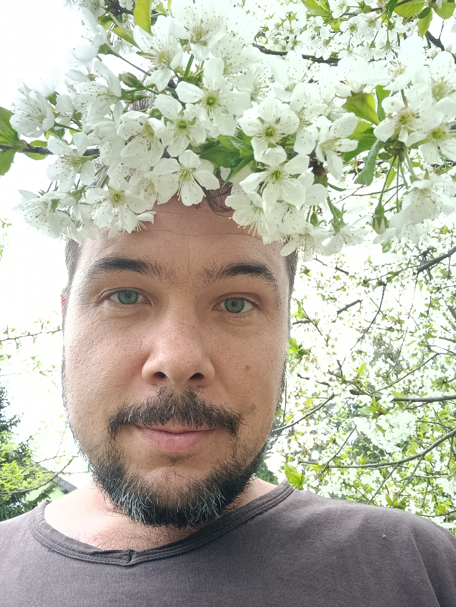 A selfie of a man with a beard, wearing a brown t-shirt and a crown of white flowers, likely cherry blossoms, on his head. The background shows more white blossoms on trees, possibly suggesting he is in an orchard. The image does not contain any information that indicates the location is Motyakovo, Russia.